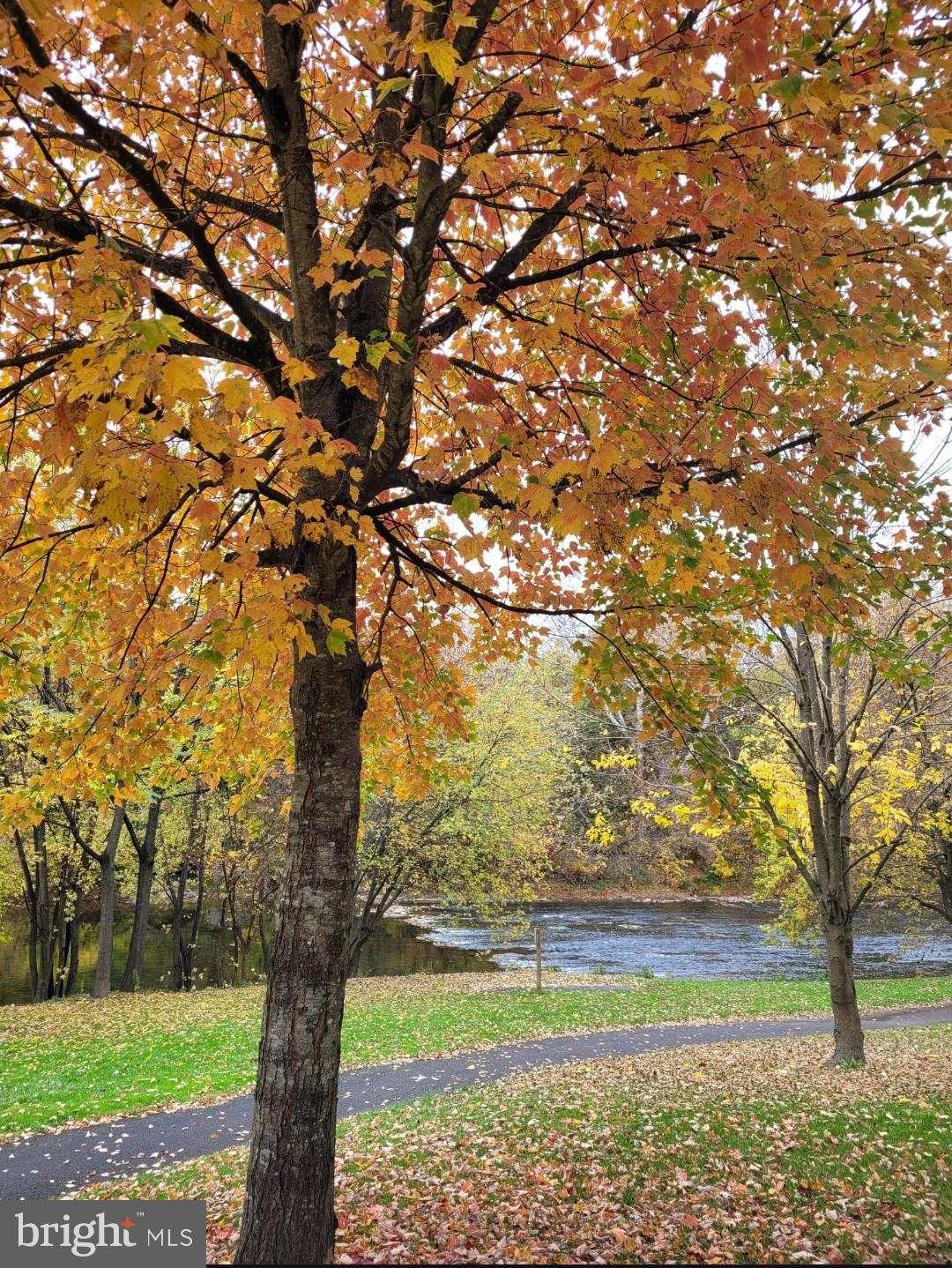 RIDLEY PARK - Residential