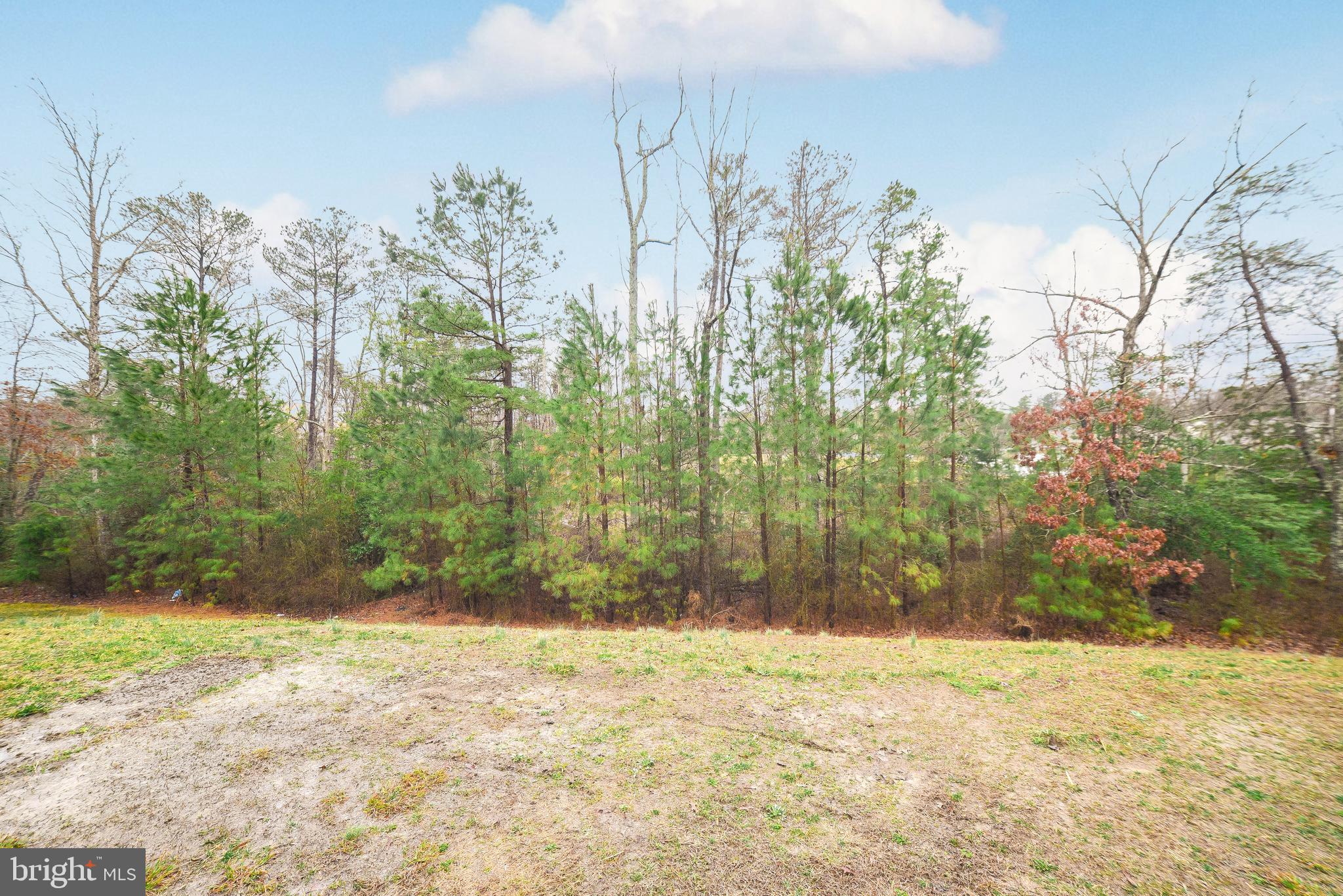 DAHLIA PARK OF WILDEWOOD - Residential