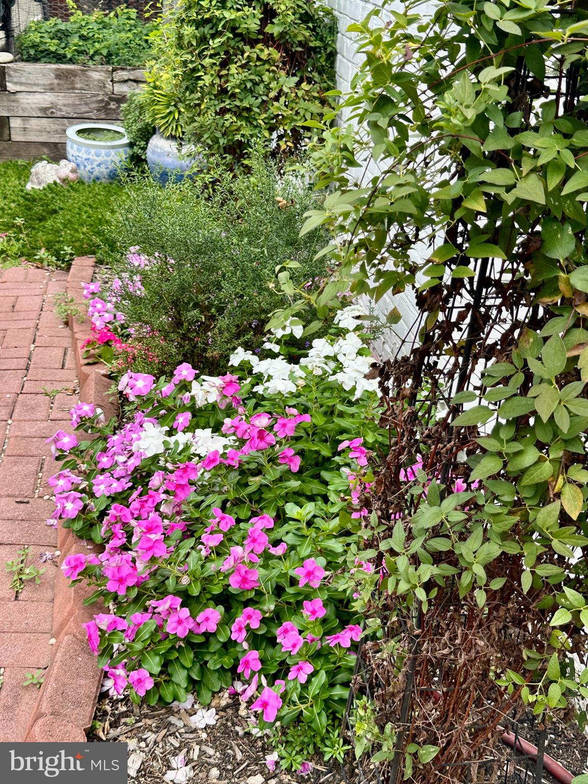 GOLDFARBS - Residential