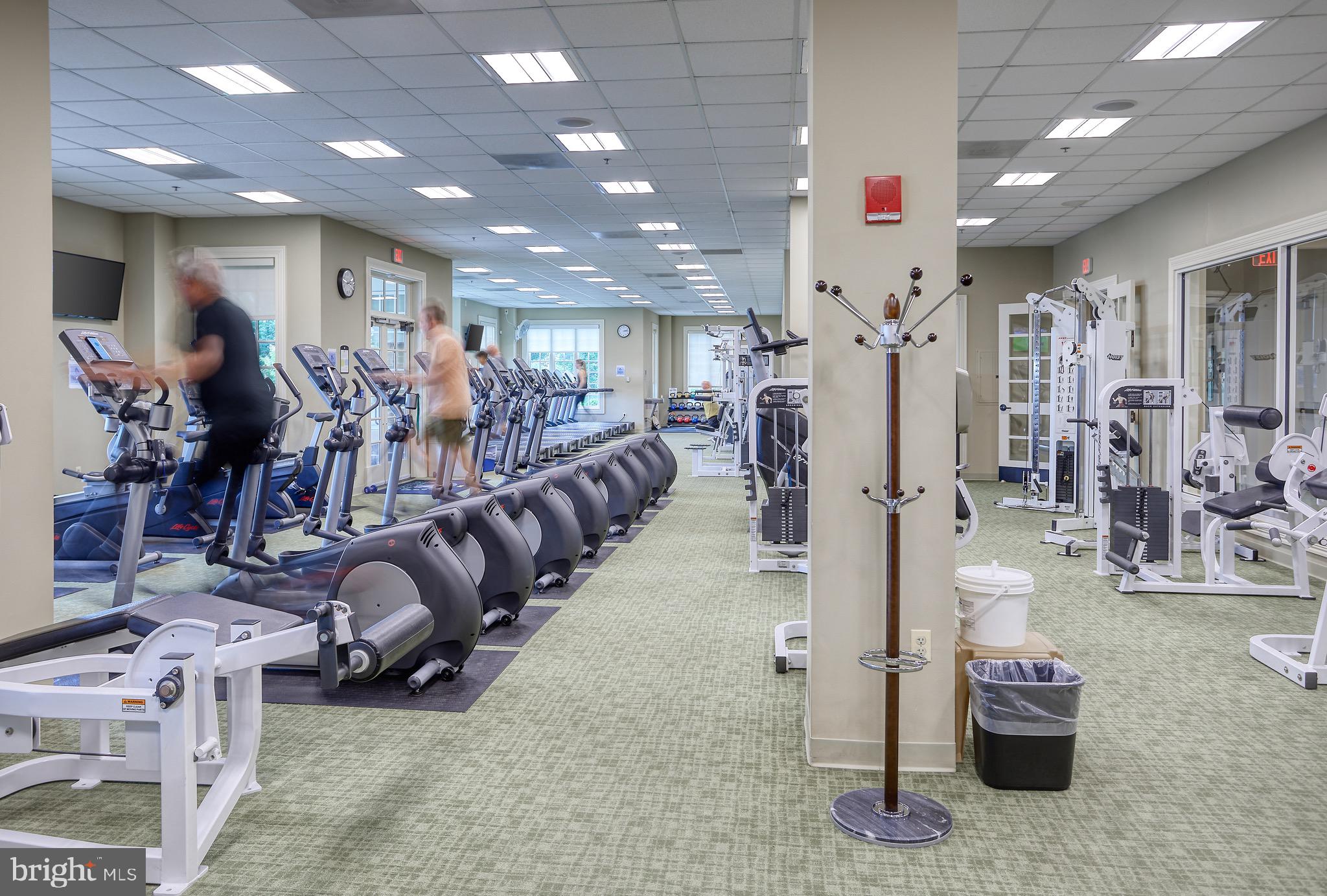 BULLE ROCK - Residential