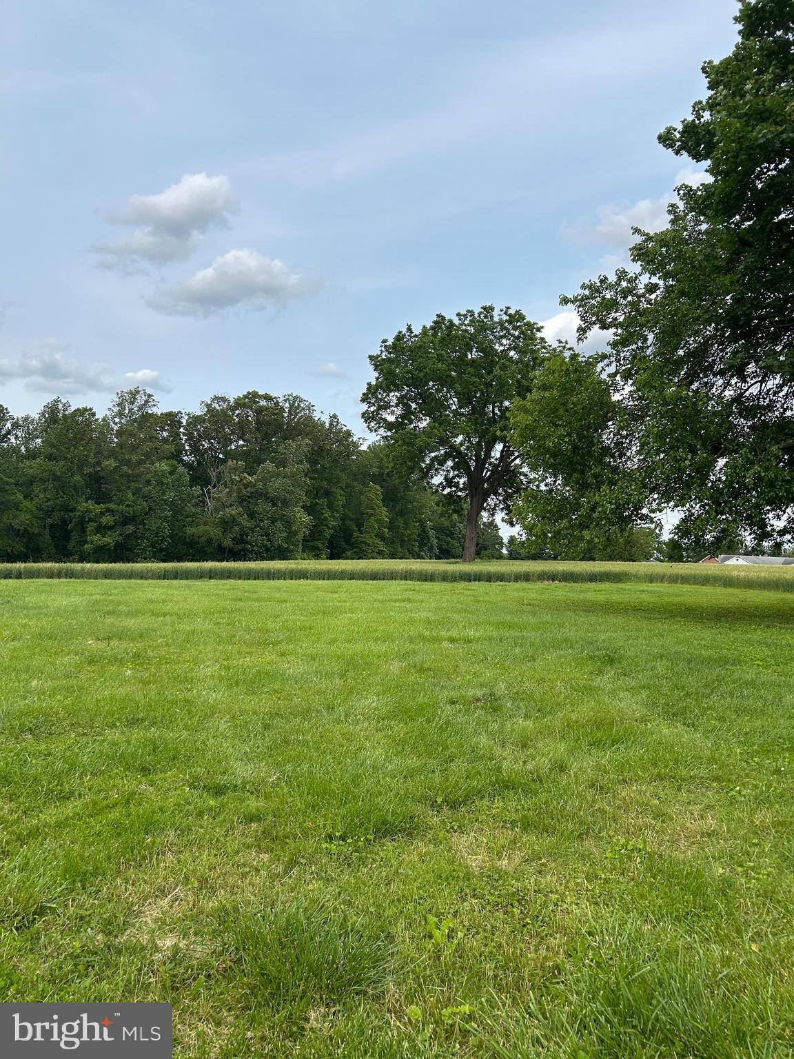 MY LADY'S MANOR - Residential