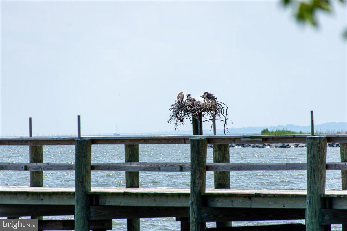 COLUMBIA BEACH - Residential
