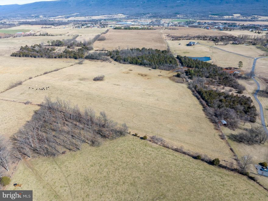 Overlooking the beautiful Shenandoah Valley is the Four Oaks Farm located close to Interstate 81 and just outside the Mount Jackson town limits. This 138.8-acre property includes good perimeter fencing and approximately 100 acres are currently being farmed for crops, in year two of a four-year lease. The remaining 38 acres are being used as pastureland, providing ample space for livestock and grazing.
A unique find in Shenandoah County, there are three ponds located on this parcel and the owner thinks one of the ponds is fed by an artisan well, although that has not been verified. Included on this land is a well that has been updated in 2013 and produces 15 gals./minute. This farm is currently in the Mount Jackson Ag Forestal District. Farming with 360 degree views, you don’t want to miss out on this exclusive opportunity.