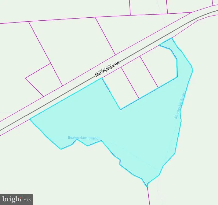 Additional image 12 of 0 Marshyhope - Adj Road, Felton, DE 19943
