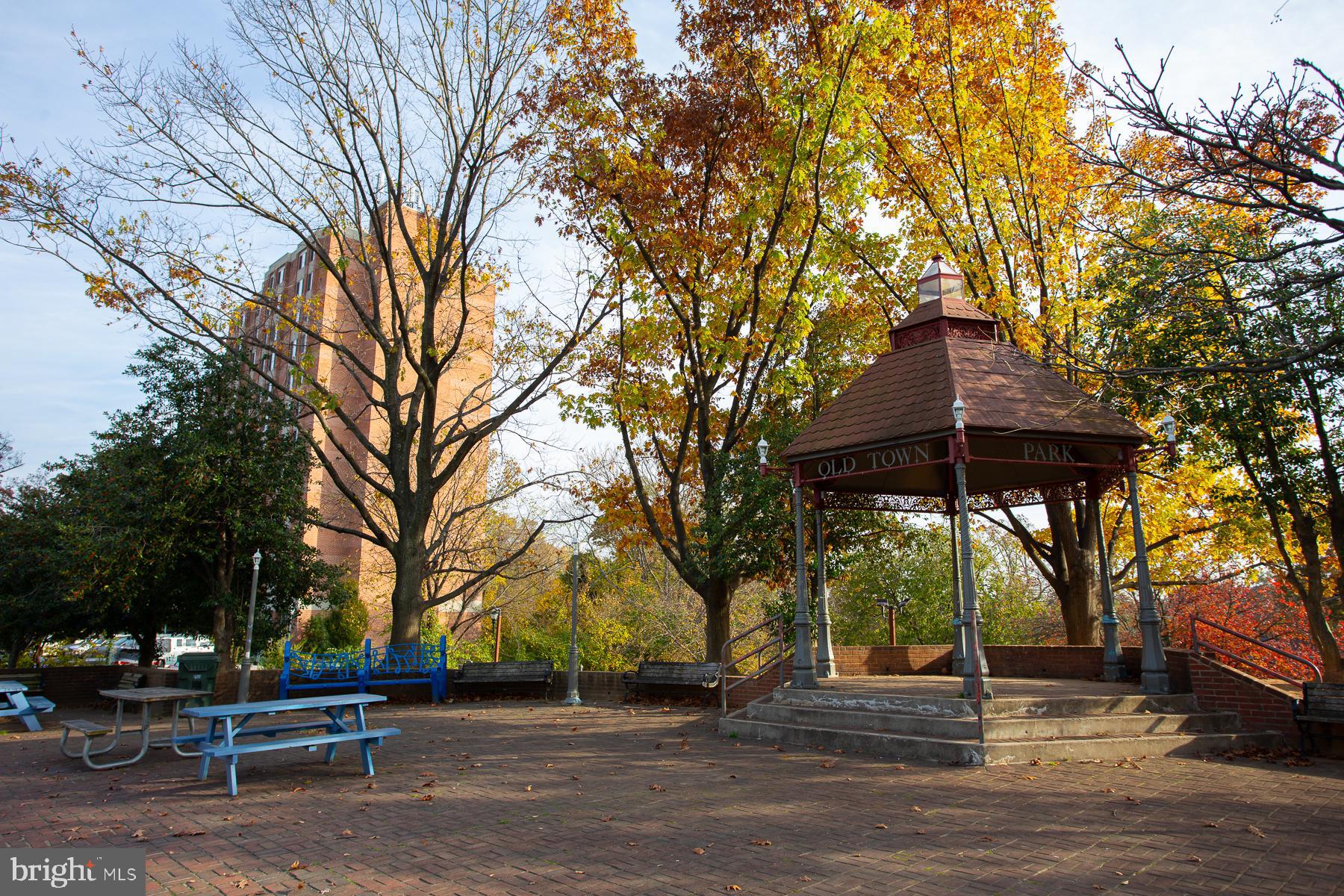 TAKOMA PARK - Residential