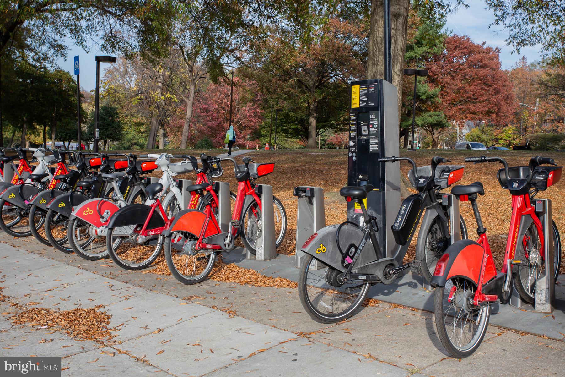 TAKOMA PARK - Residential