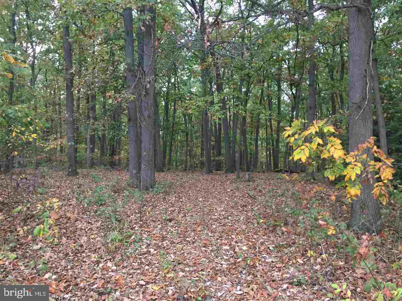 PLEASANT VALLEY GOLF COURSE - Land