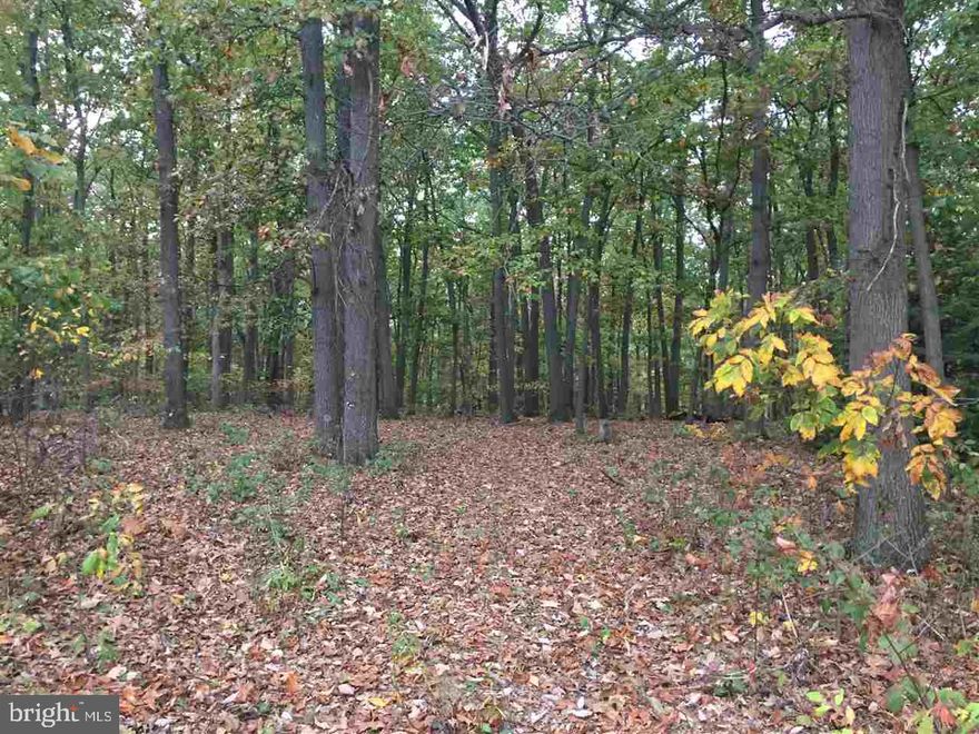 Build you dream home on the wooded lot and overlook the 18th hole at Pleasant Valley Golf Course.  Private setting with mature trees and lot is level just waiting for your dream home. Estate sale, sellers are not 100% sure of perc results, but lot has a well.