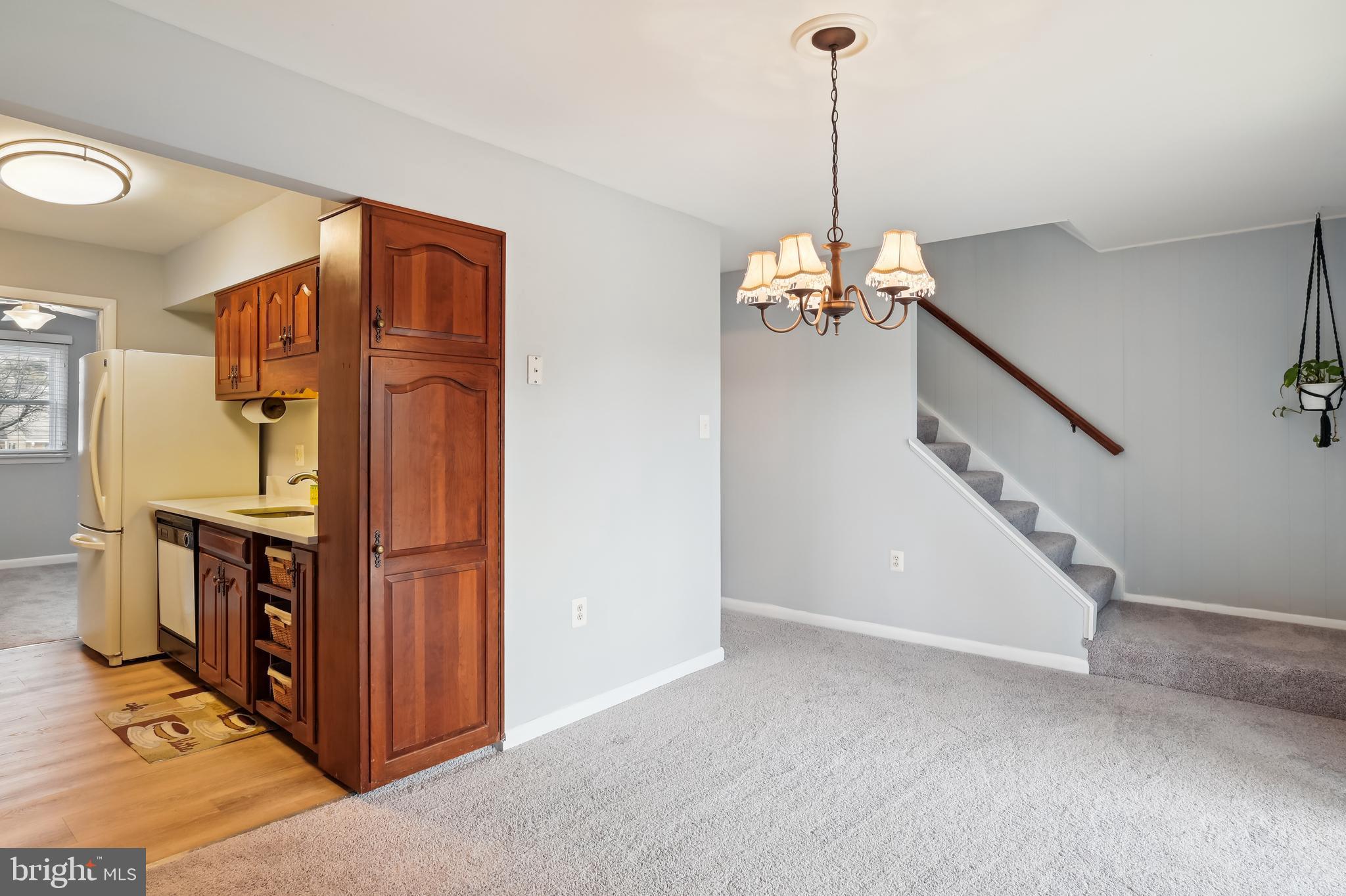 VILLAGE OF OLDE MILL - Residential
