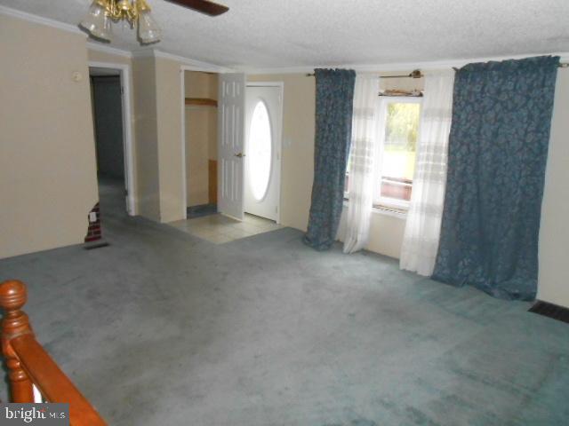 HAMPTON - Residential