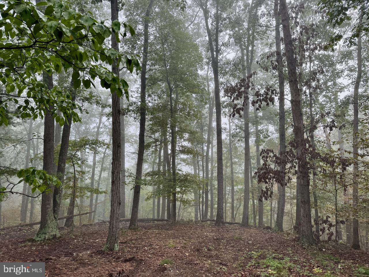 SHENANDOAH COUNTY - Residential