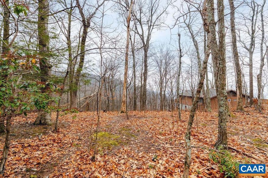 Can?t find your dream home? Then build it on this beautiful mountain lot with year round southern and eastern Mountain View?s right in the heart of Blackrock Village. Covered in mountain laurel and rhododendron this easy to build on homesite backs on to dedicated open space giving you tons of privacy yet you are within an easy walk to skiing, dining, shopping and miles of trails. Don?t miss perhaps the last opportunity to find that perfect spot to build your Wintergreen home!