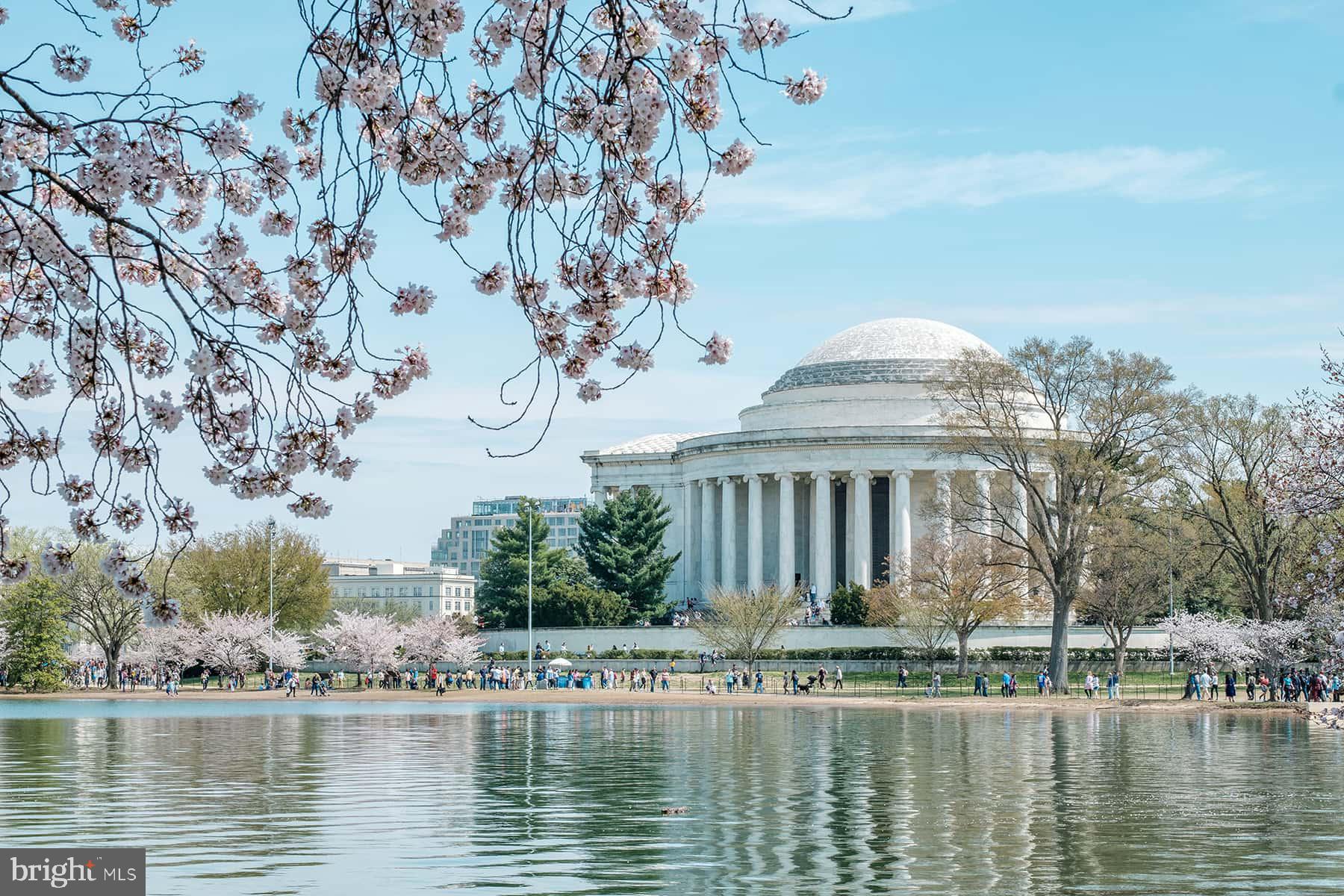BELVOIR FARMS - Residential