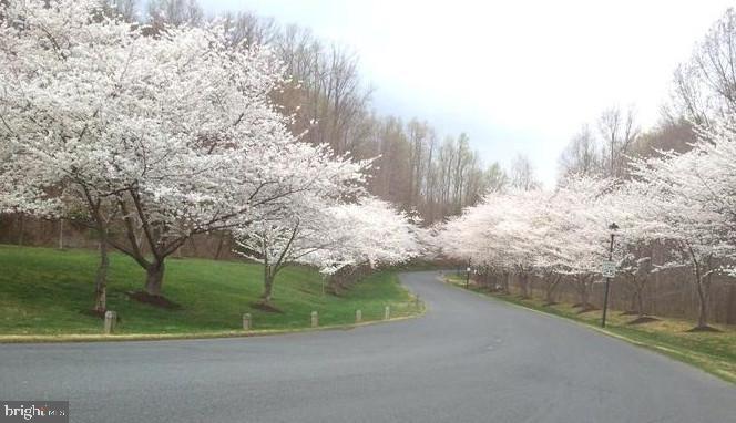 BELVOIR FARMS - Residential