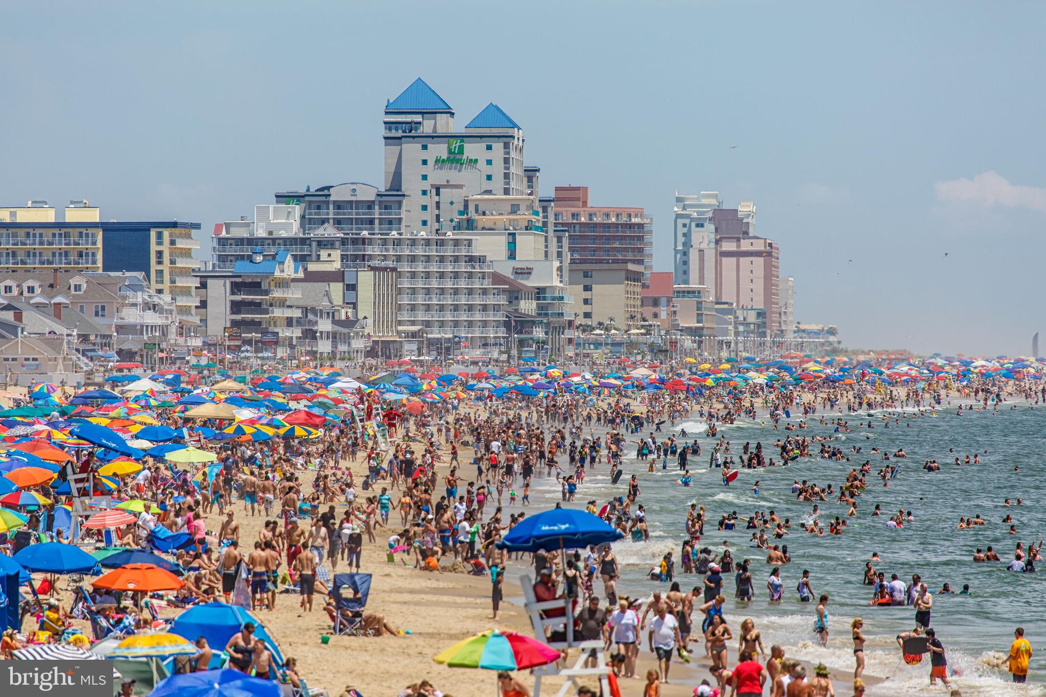 BELVOIR FARMS - Residential