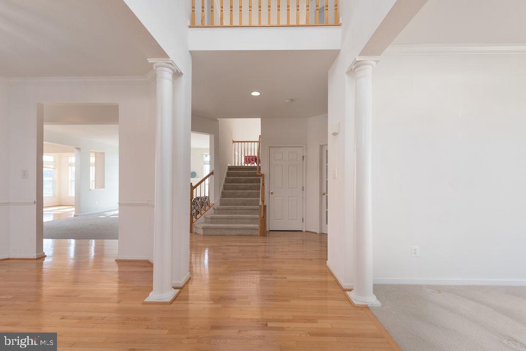 THE FALLS AT LEE'S PARKE - Residential