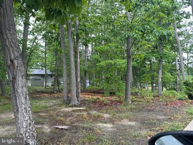 Millville, New Jersey 08332, United States, ,Land,Active,130082