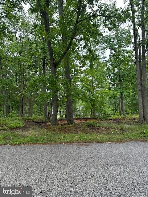 Millville, New Jersey 08332, United States, ,Land,Active,130082 Millville, New Jersey 08332, United States, ,Land,Active,130082