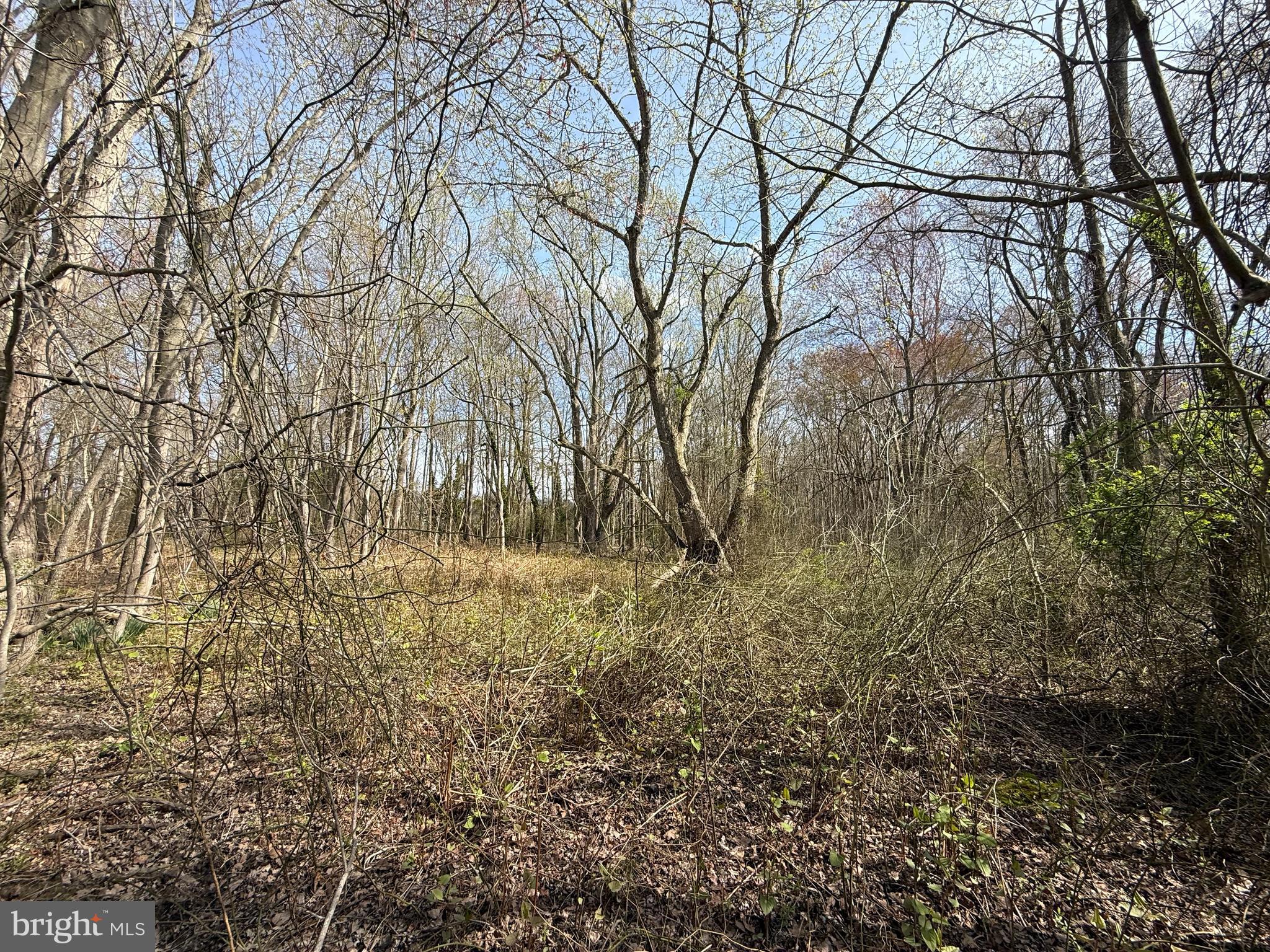 2301 MEMORIAL AVENUE