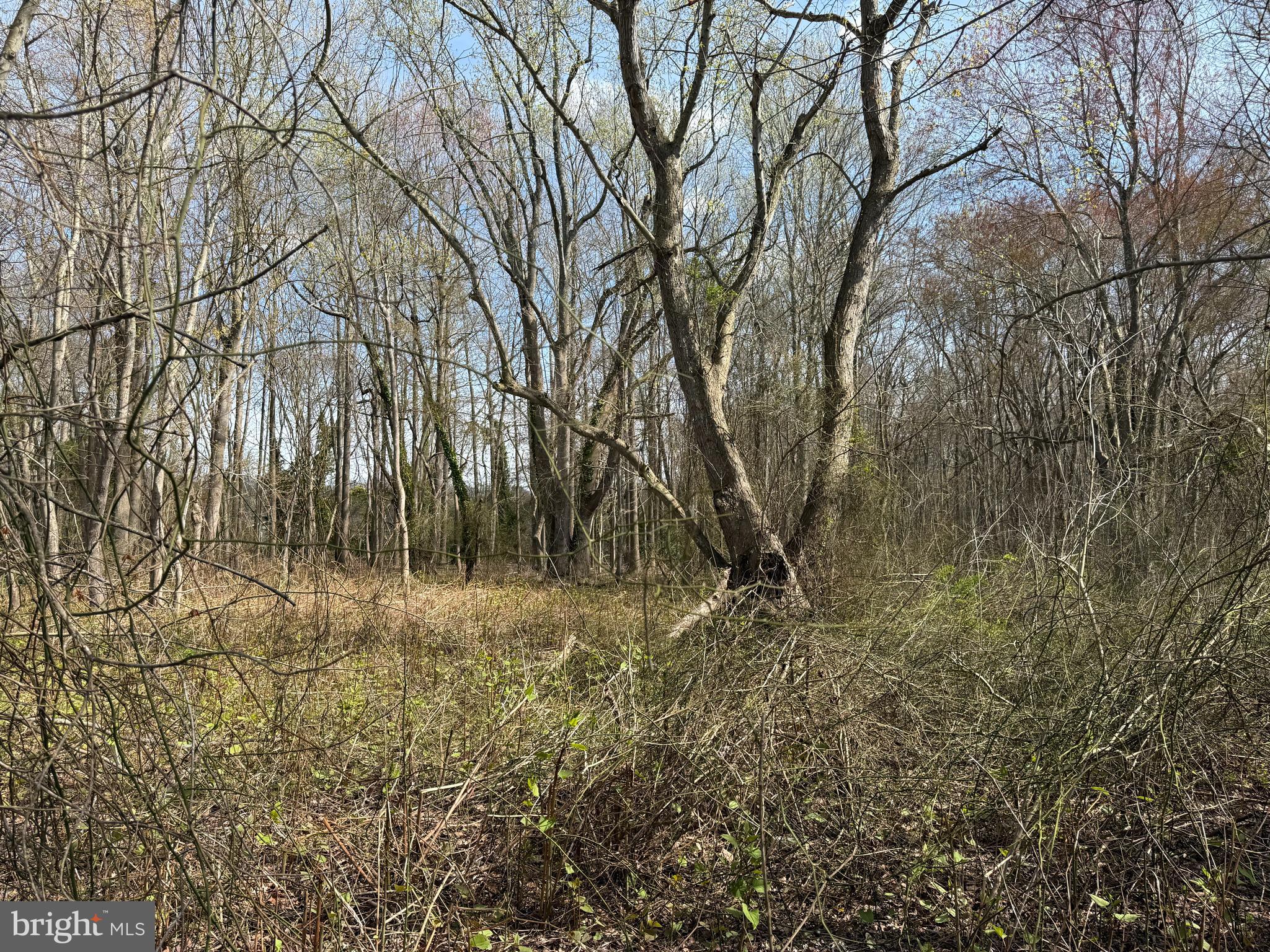 2301 MEMORIAL AVENUE