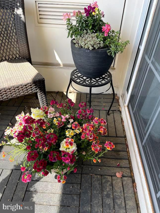 CHELSEA COURTS - Residential