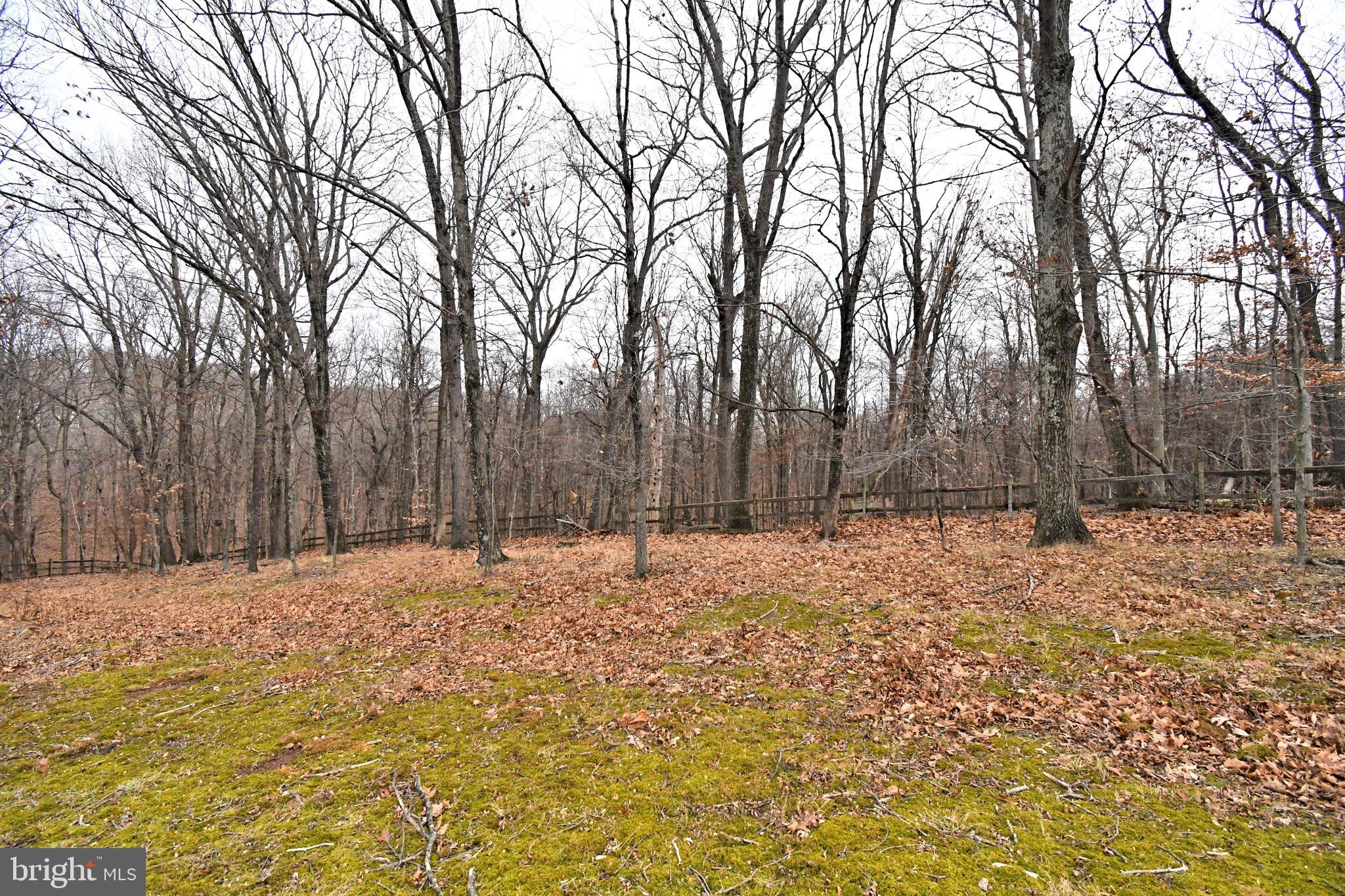 DUTCHESS FARM ESTS - Residential