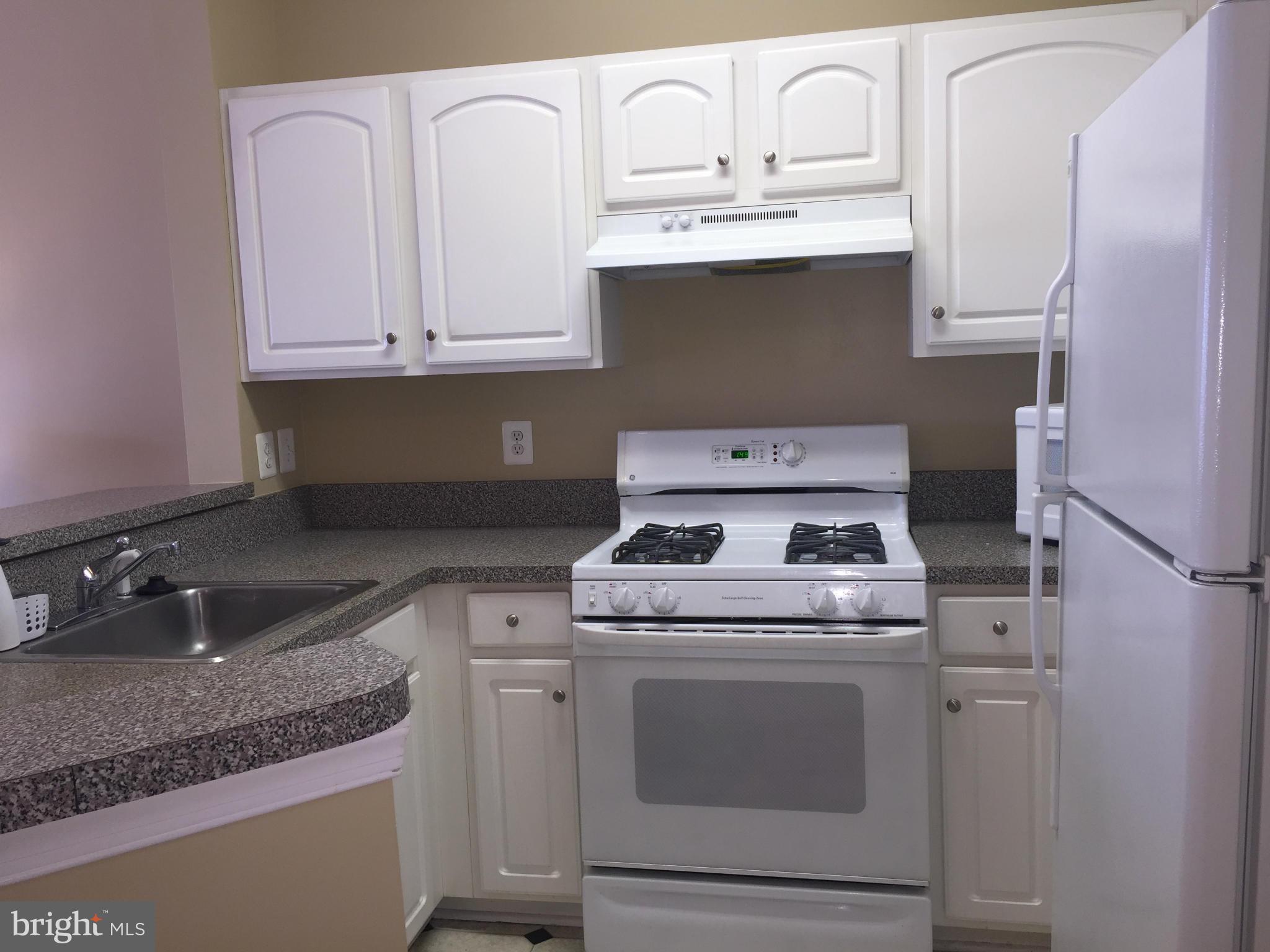 PARKSIDE AT ASHBURN - Residential