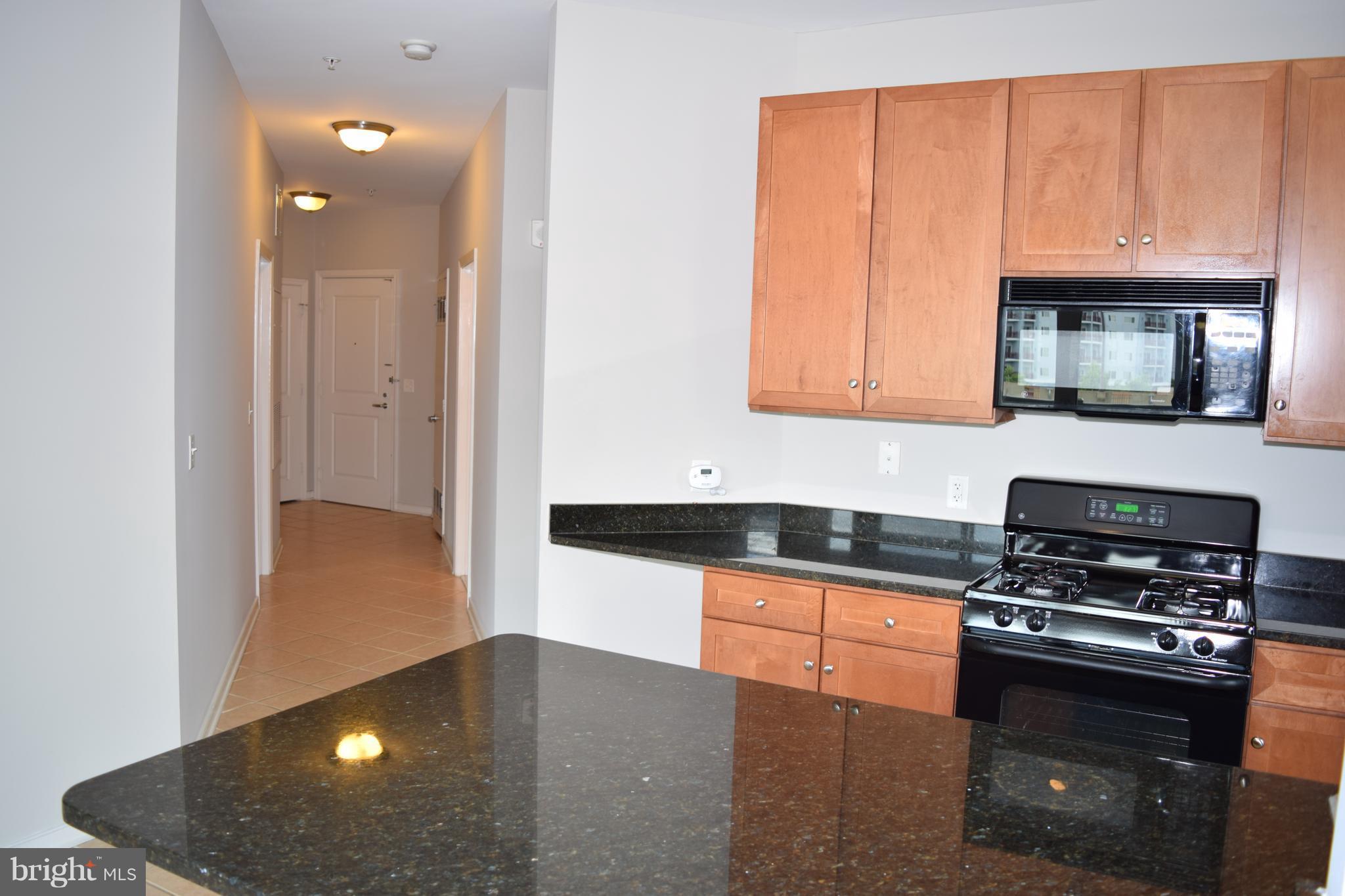 8045 AT SILVER SPRING METRO - Residential