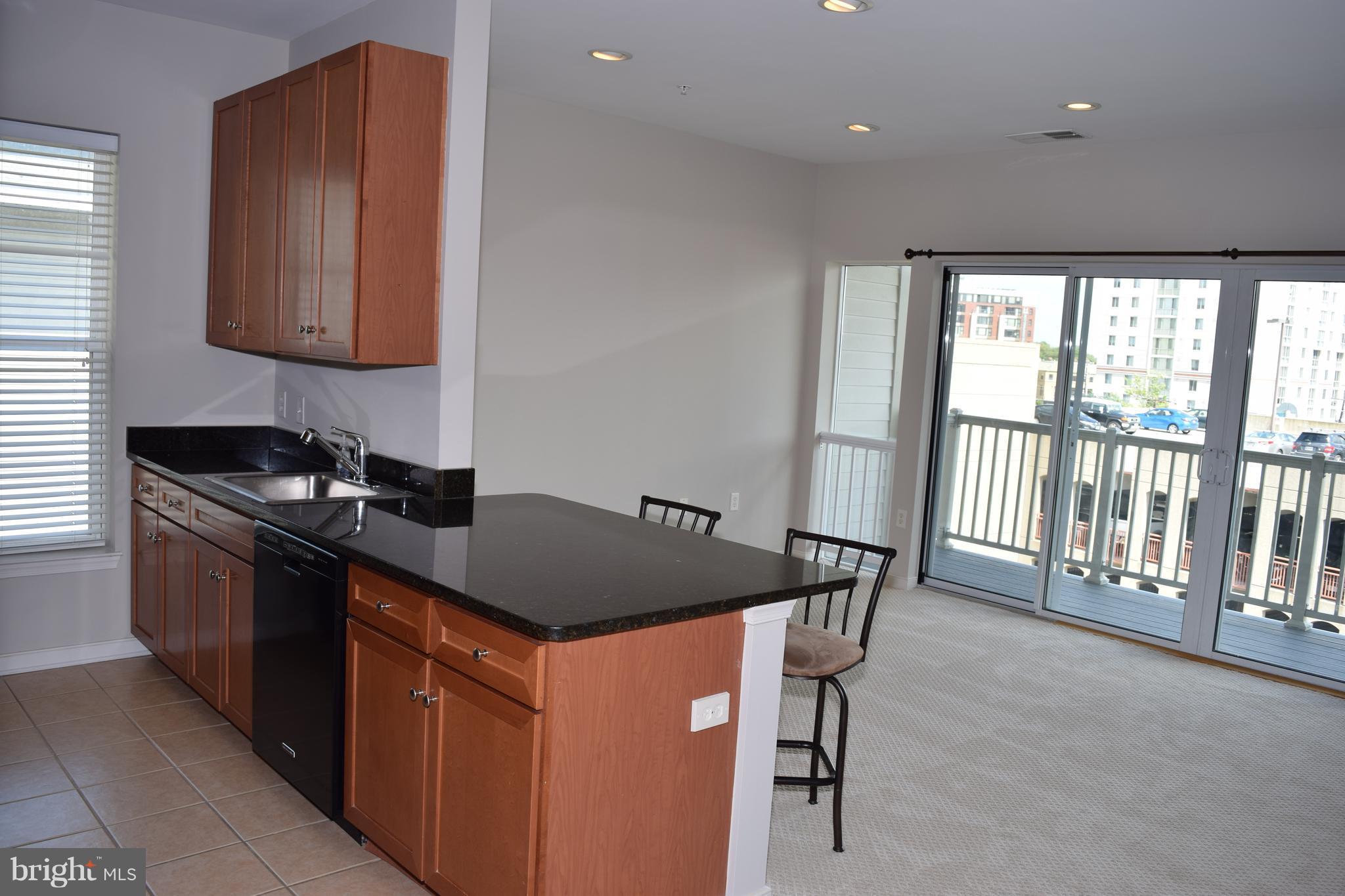 8045 AT SILVER SPRING METRO - Residential