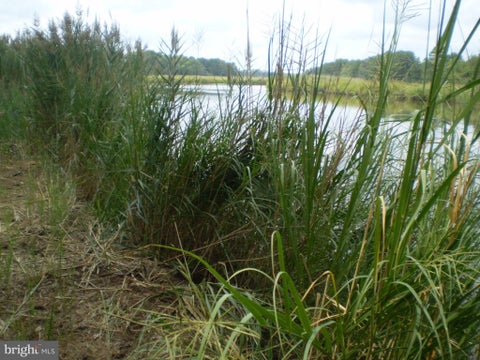 Vacant Land For Sale - Stewart Neck Road<br/> Somerset County, PRINCESS ANNE, MD 21853