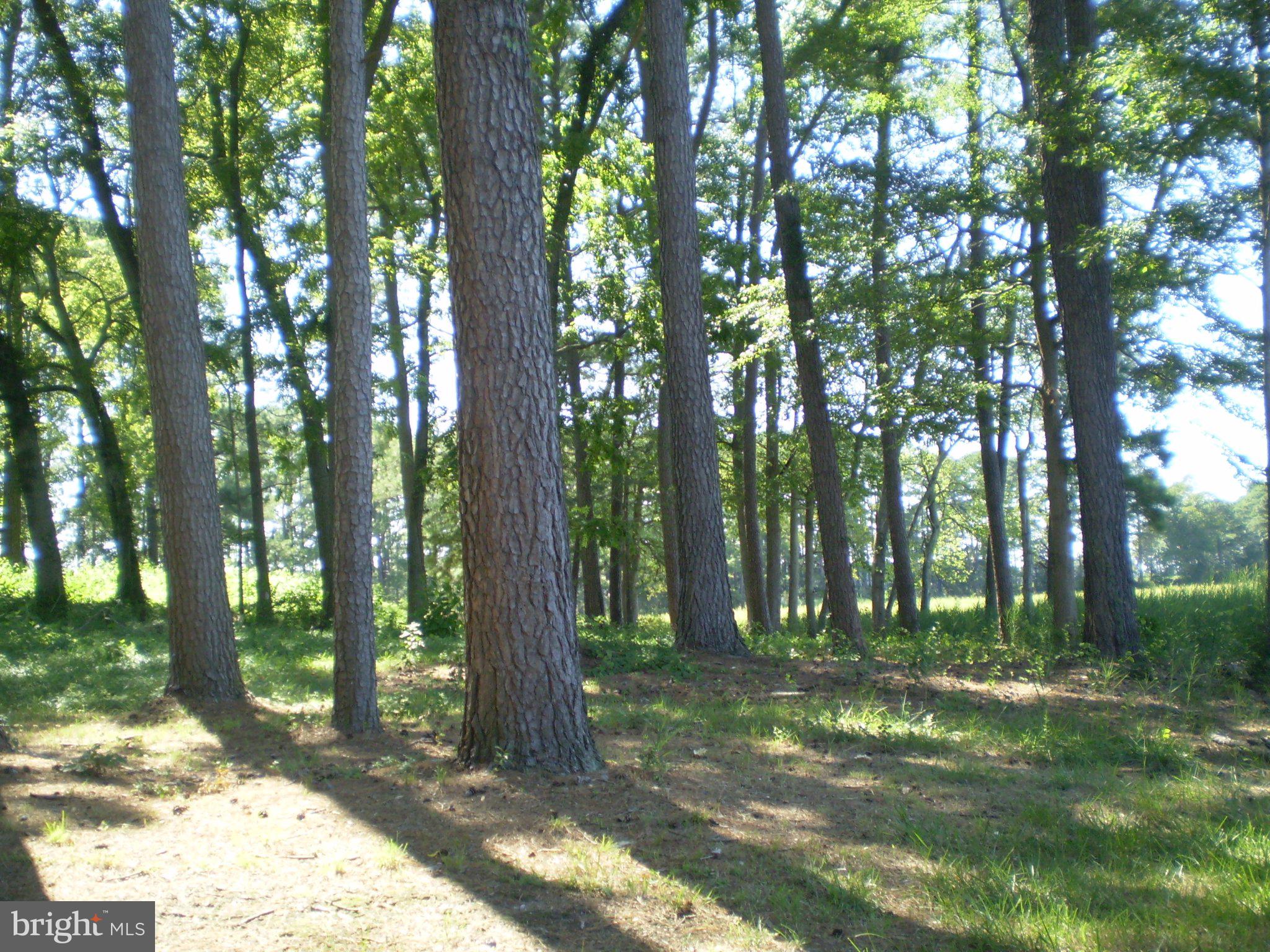 0 STEWART NECK ROAD