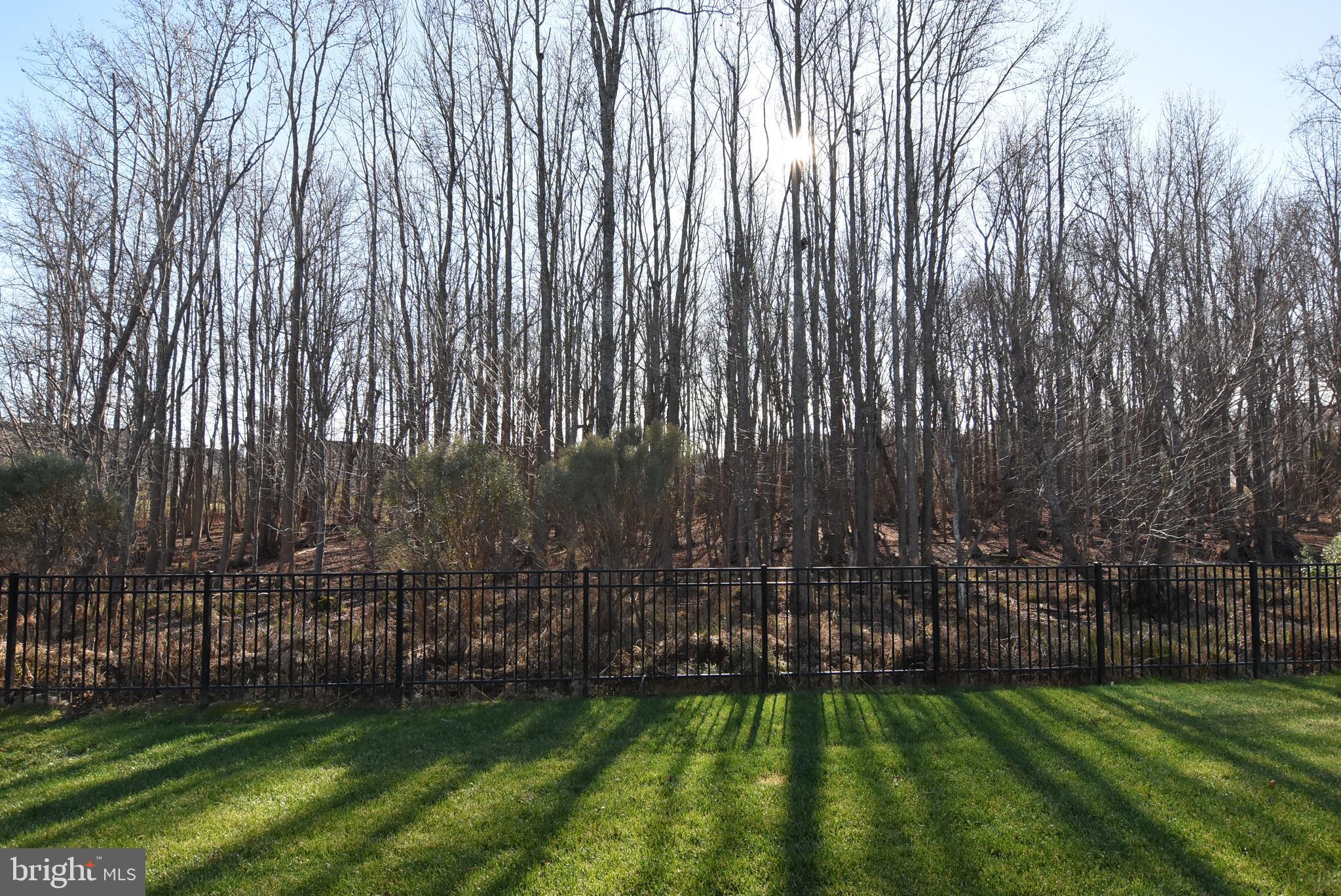 SAWGRASS AT WHITE OAK CREEK - Residential