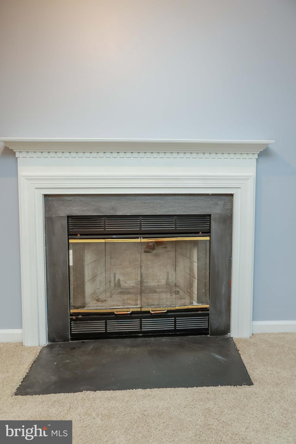 VILLAGE OF SILVER HALL - Residential