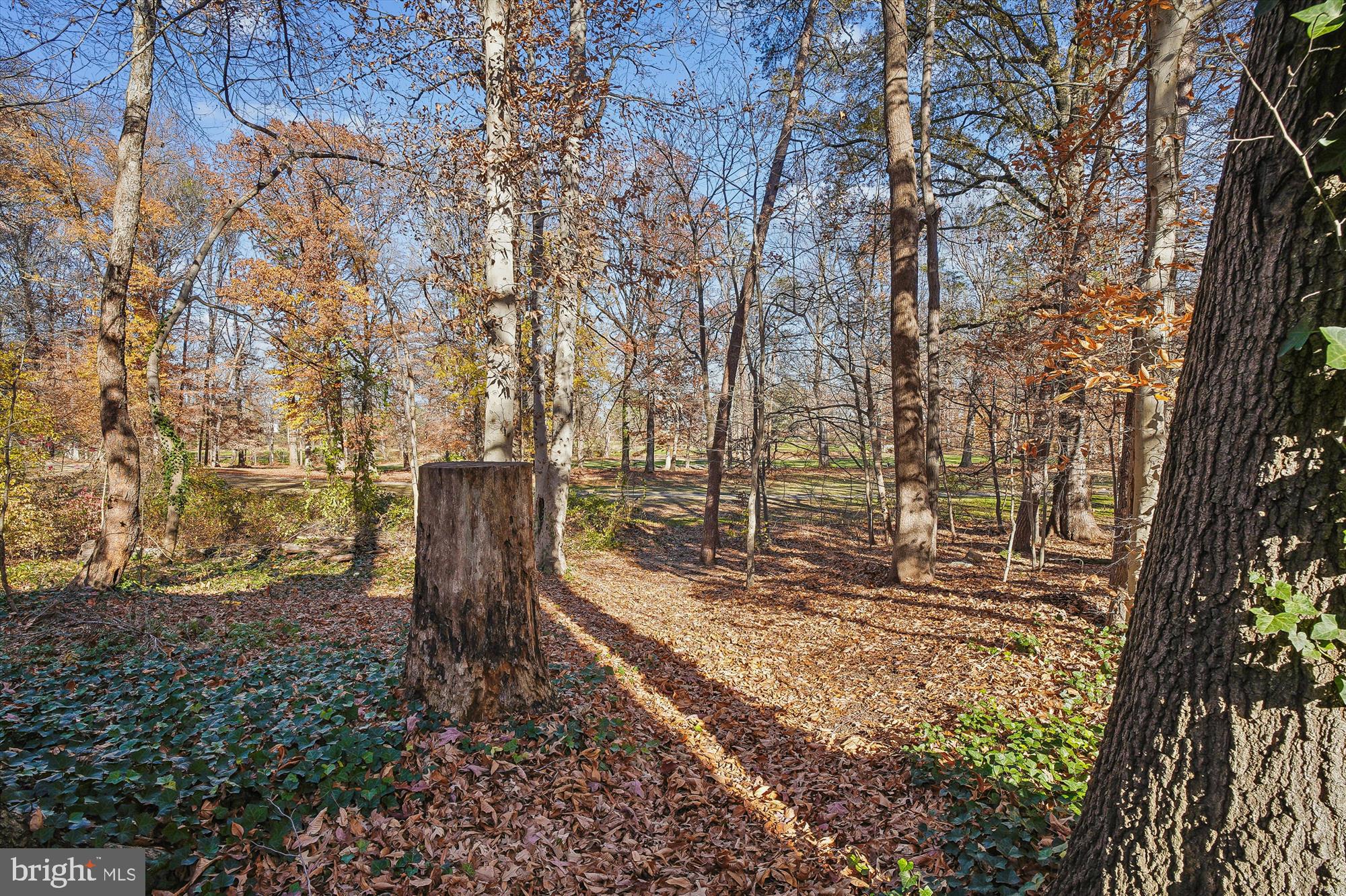 WALDEN - Residential