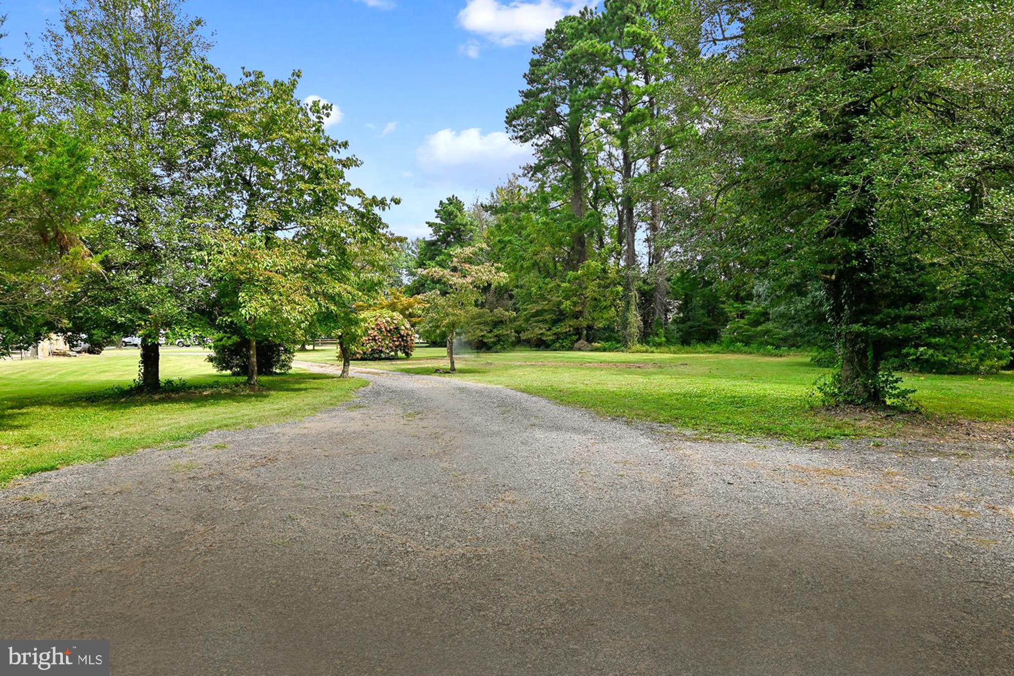 BEECHWOOD ON THE BURLEY - Land