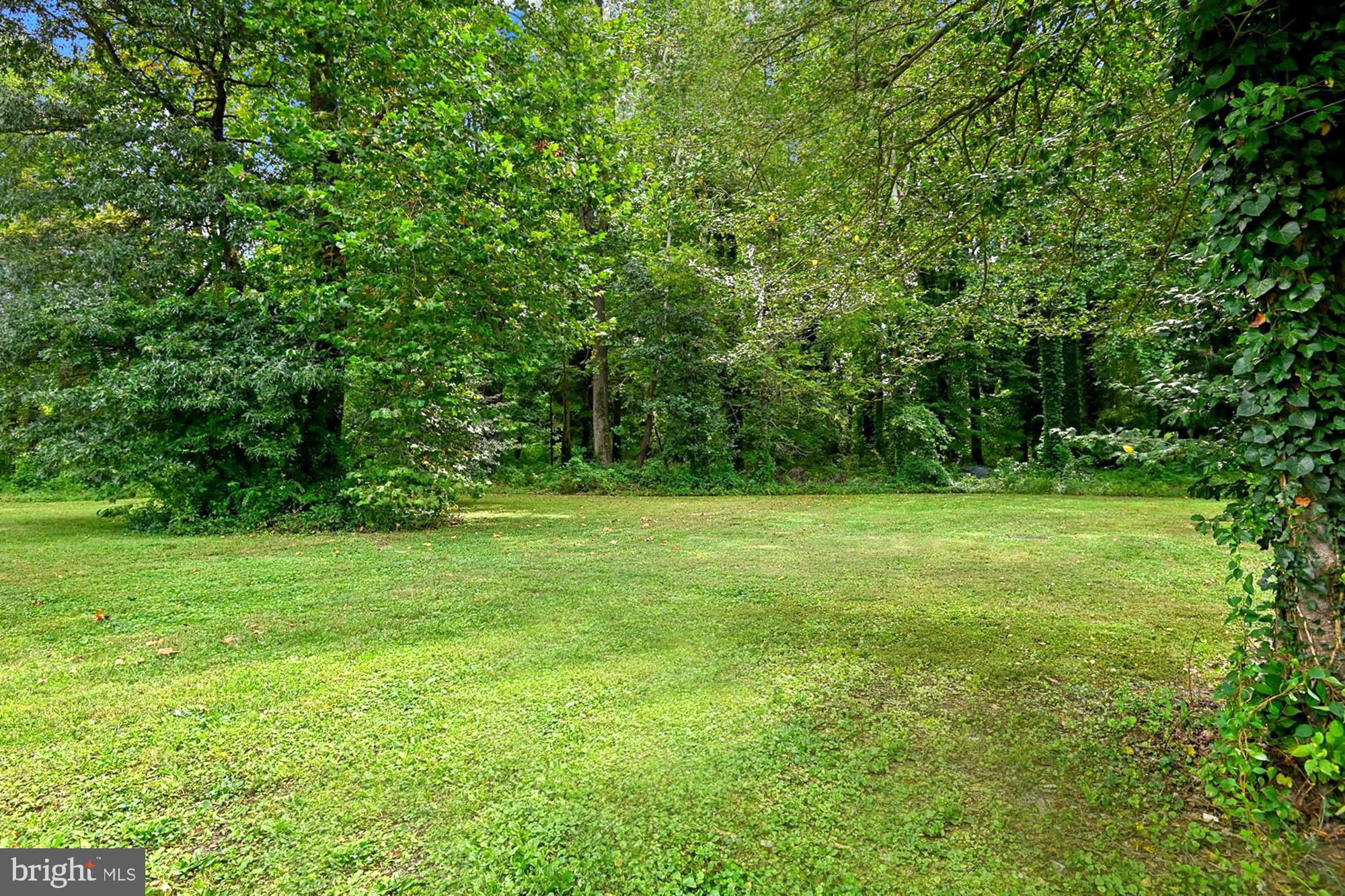 BEECHWOOD ON THE BURLEY - Land