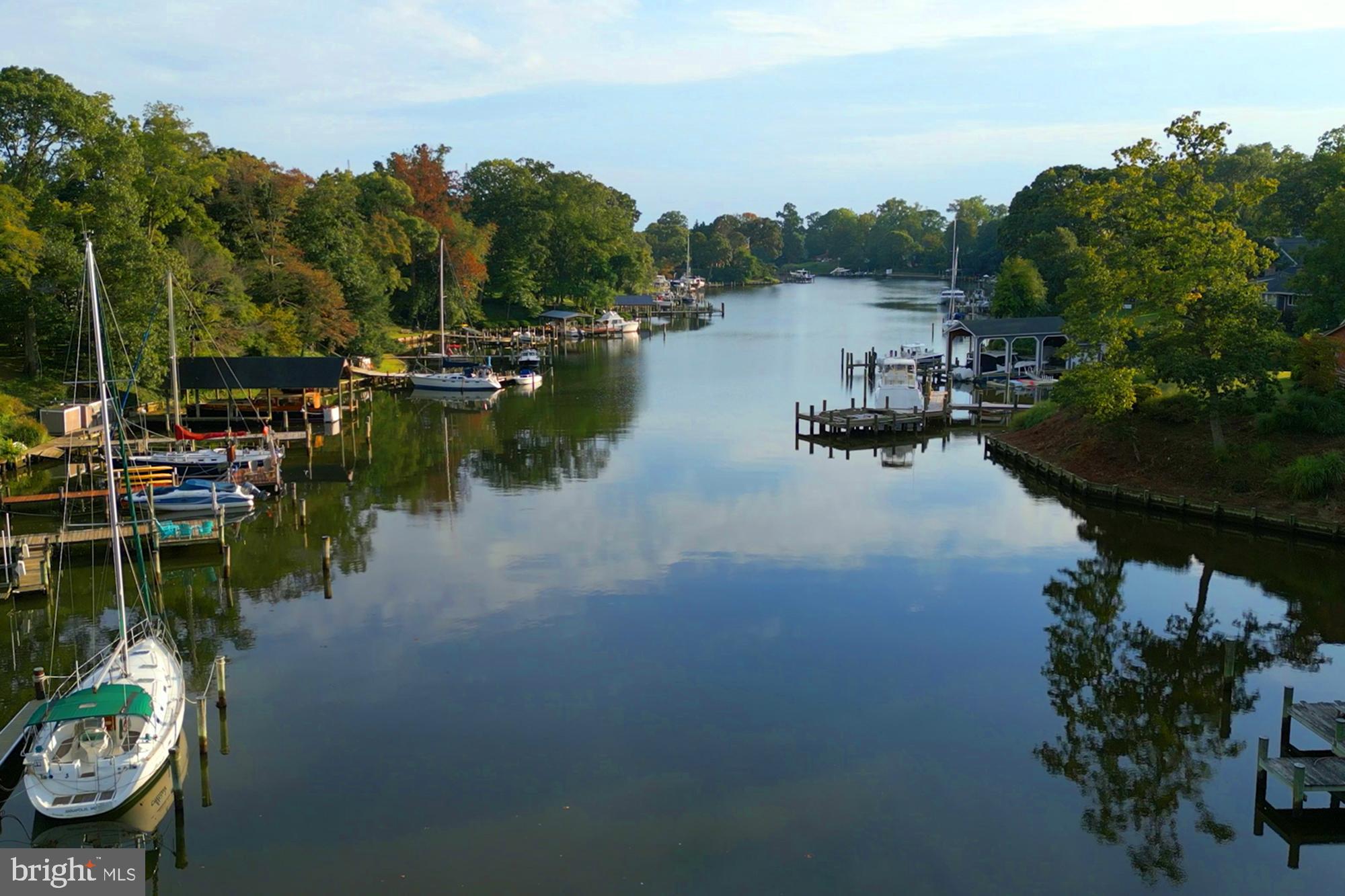 BEECHWOOD ON THE BURLEY - Land
