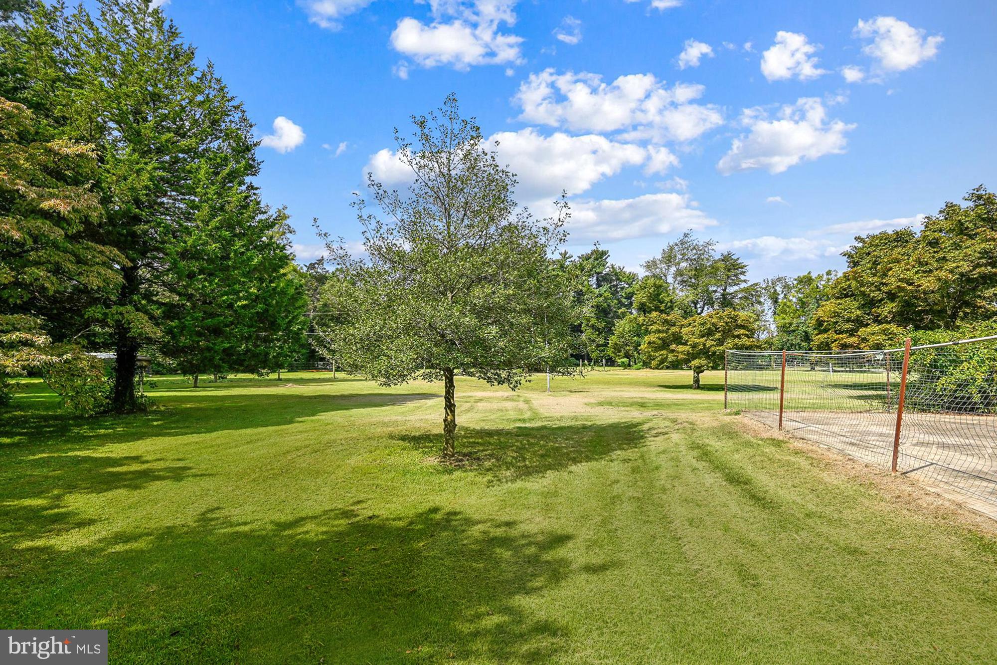 BEECHWOOD ON THE BURLEY - Land