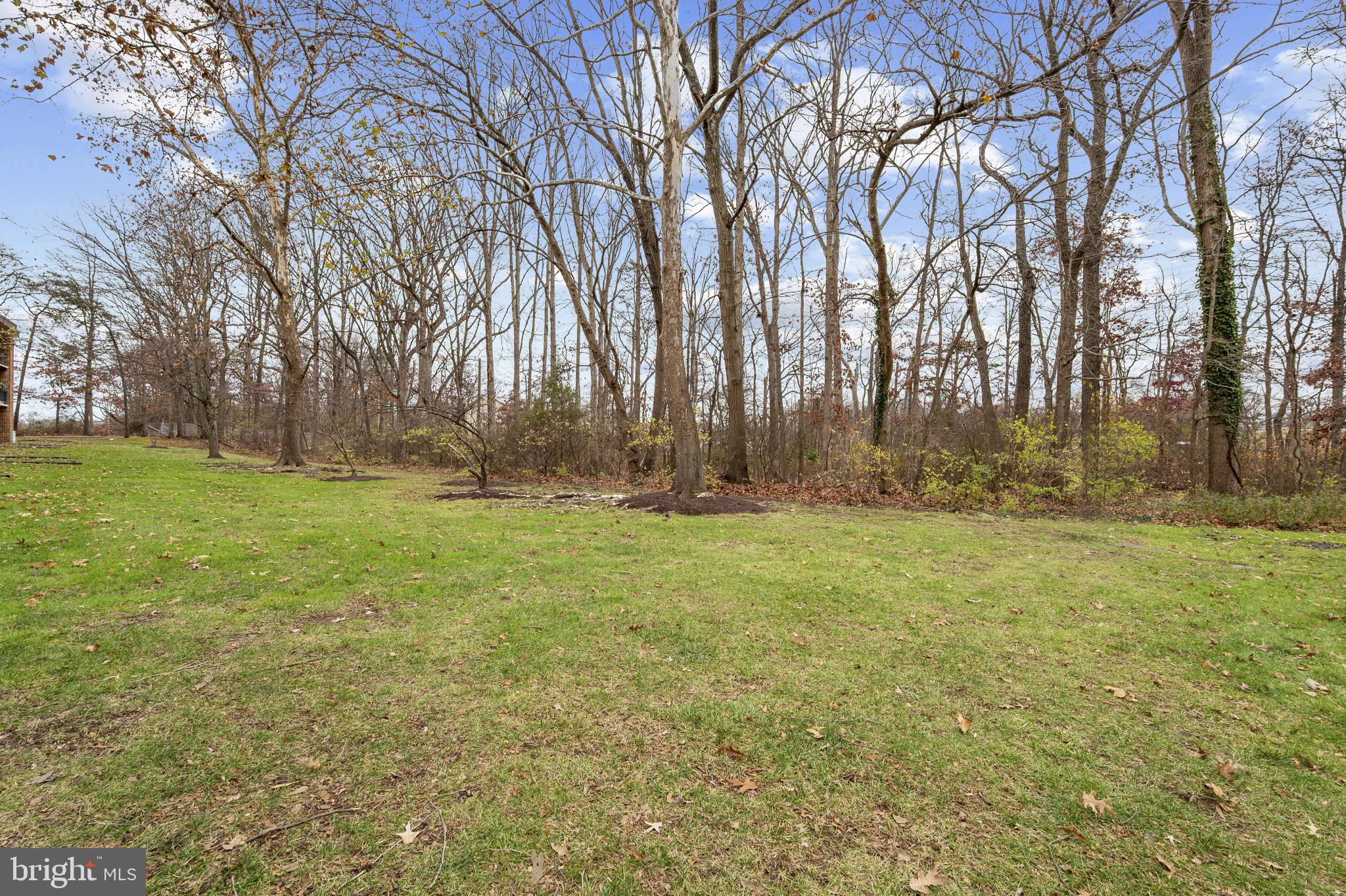 CHELSEA WOODS - Residential