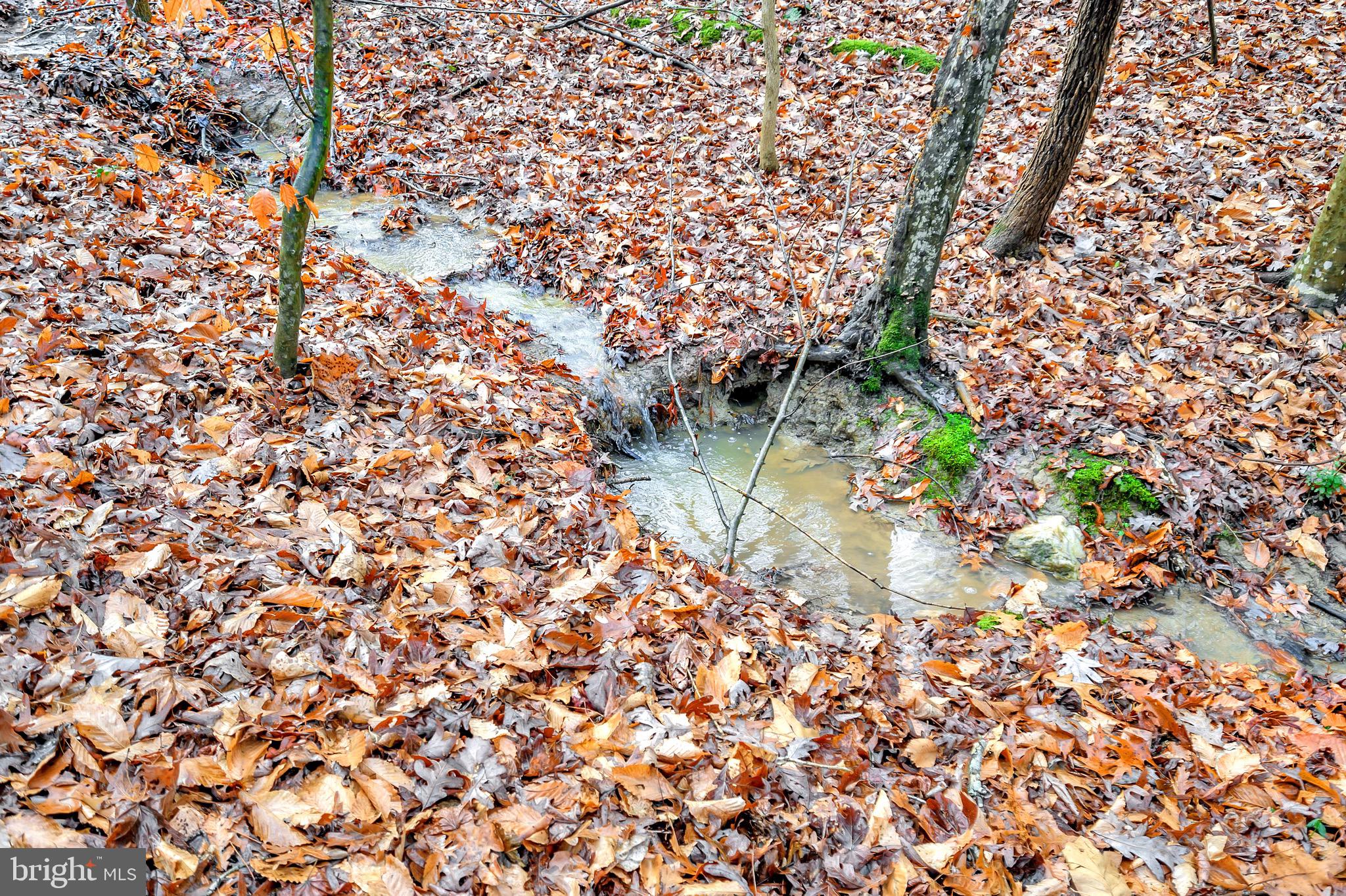 CLORE AT RAPP RIVER - Residential