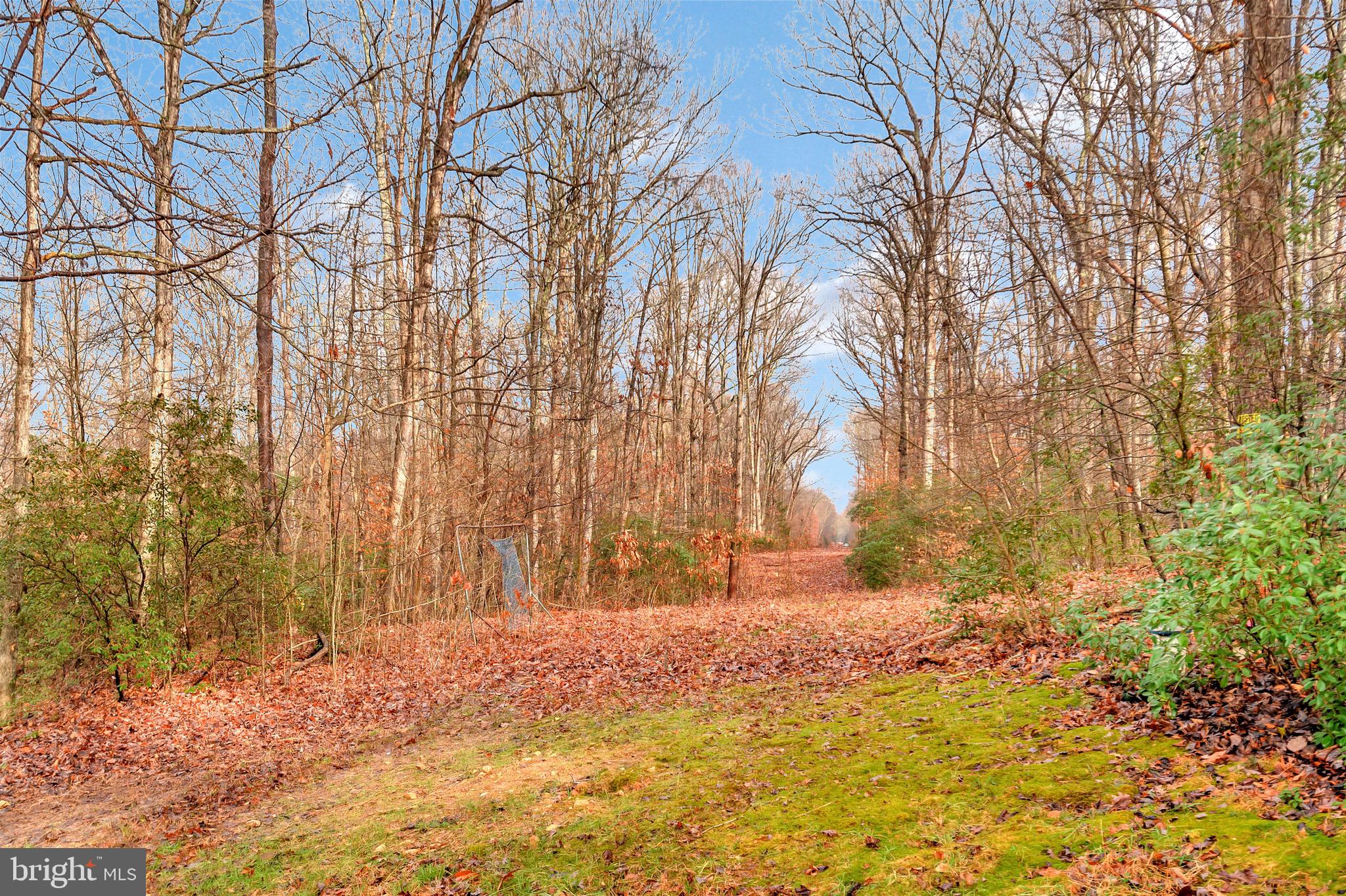 CLORE AT RAPP RIVER - Residential