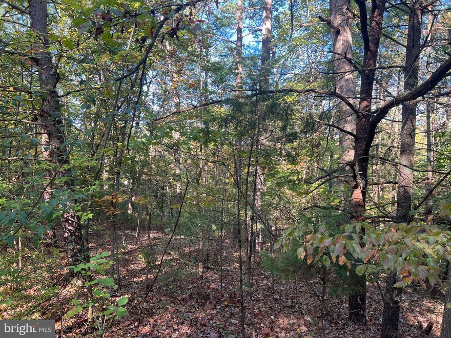 A Bryce lot with plenty of flat space for building and a gentle slope at the back of the lot. Five to 8 minutes from the main lodge, skiing, golf and biking. Close to amenities but private.