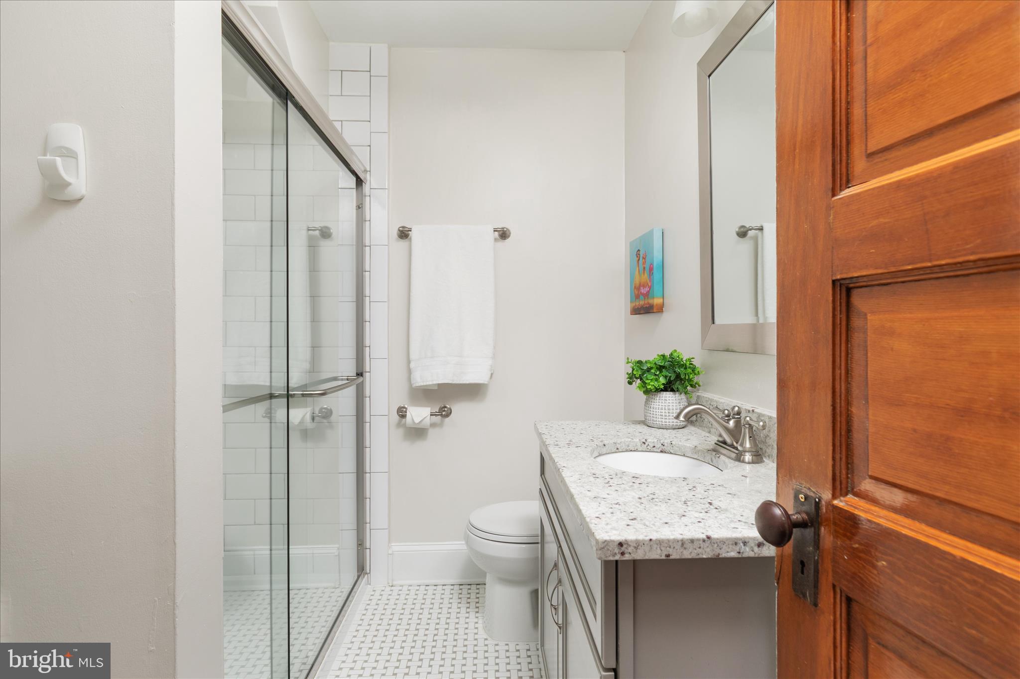 DOWNTOWN LEESBURG - Residential