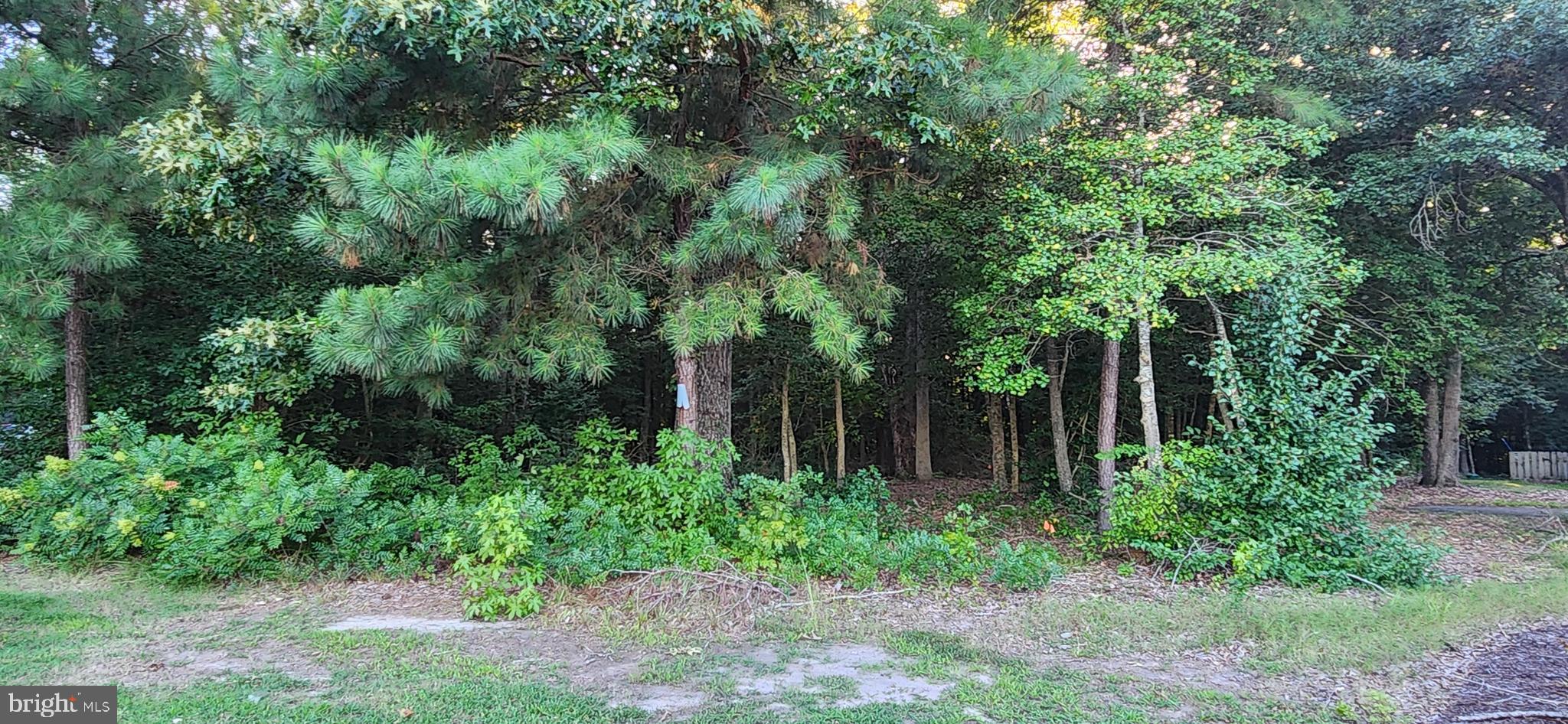Lot #8 ARROWWOOD COURT