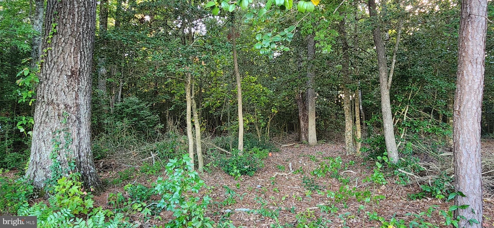 Lot #8 ARROWWOOD COURT