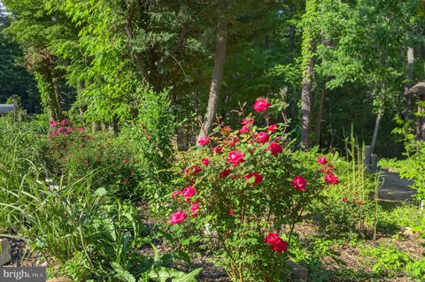 Tiny photo for 8480 Chesley Drive, LUSBY, MD 20657 (MLS # MDCA2024856)