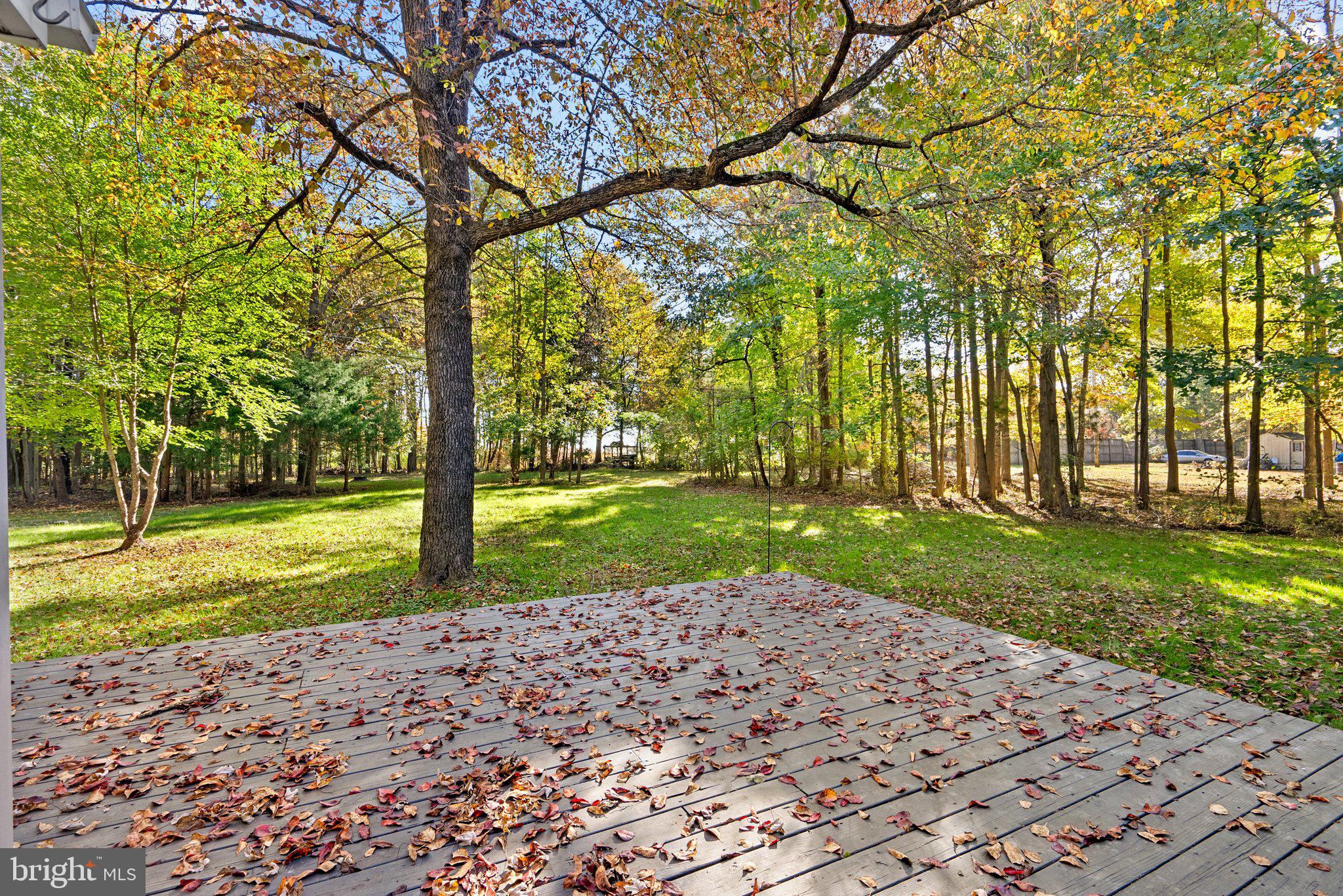 SHADY SIDE - Residential