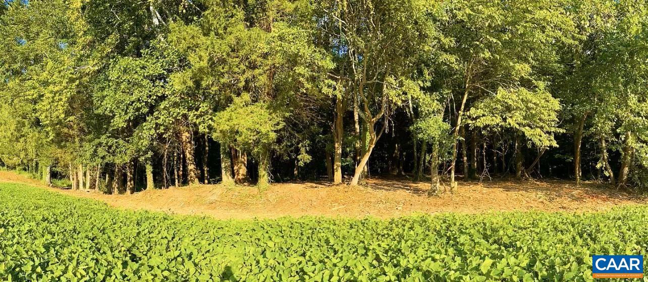 NONE AVAILABLE - Land