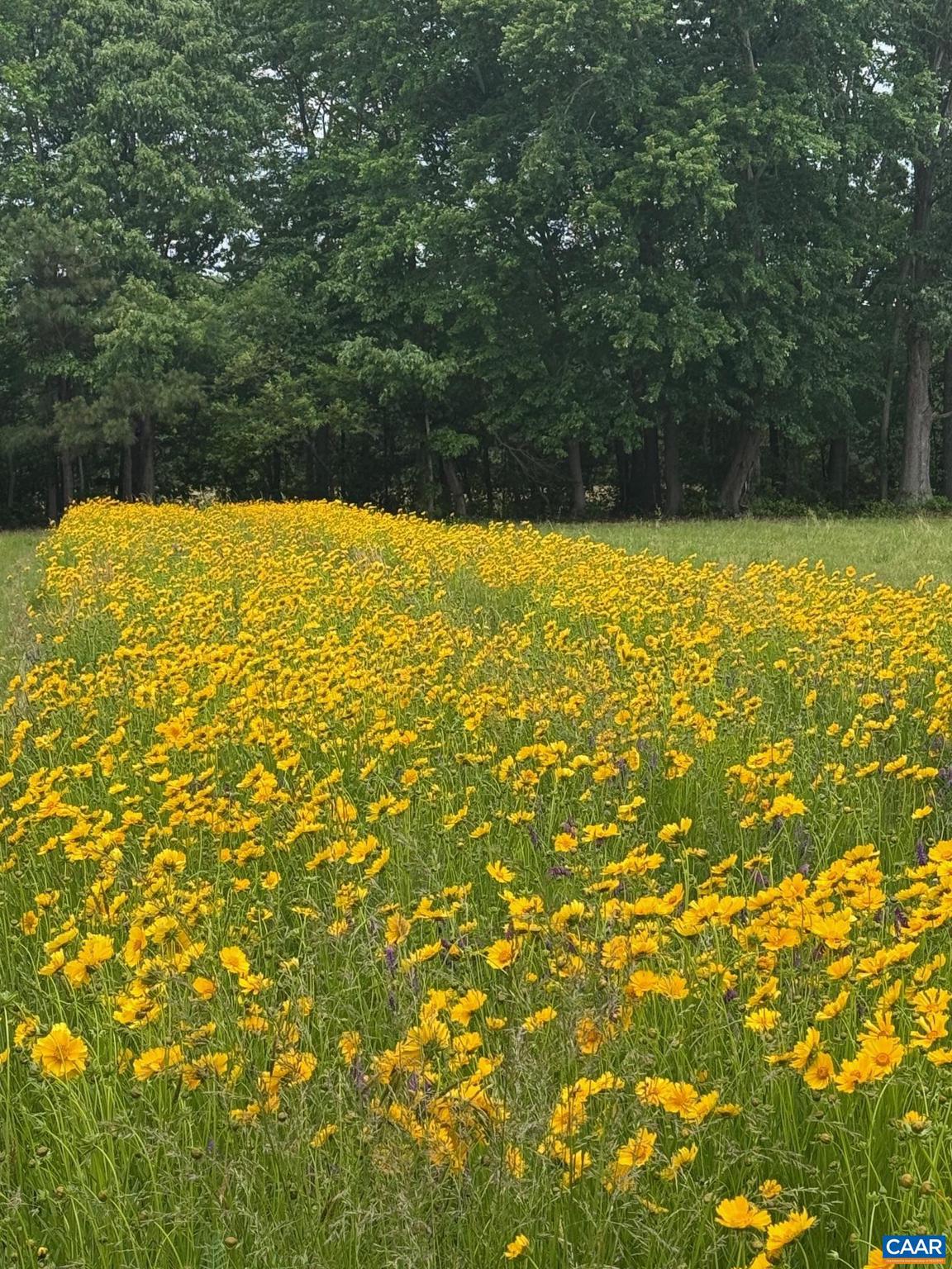 NONE AVAILABLE - Land