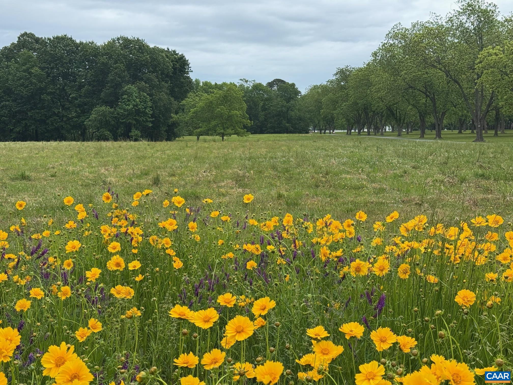 NONE AVAILABLE - Land